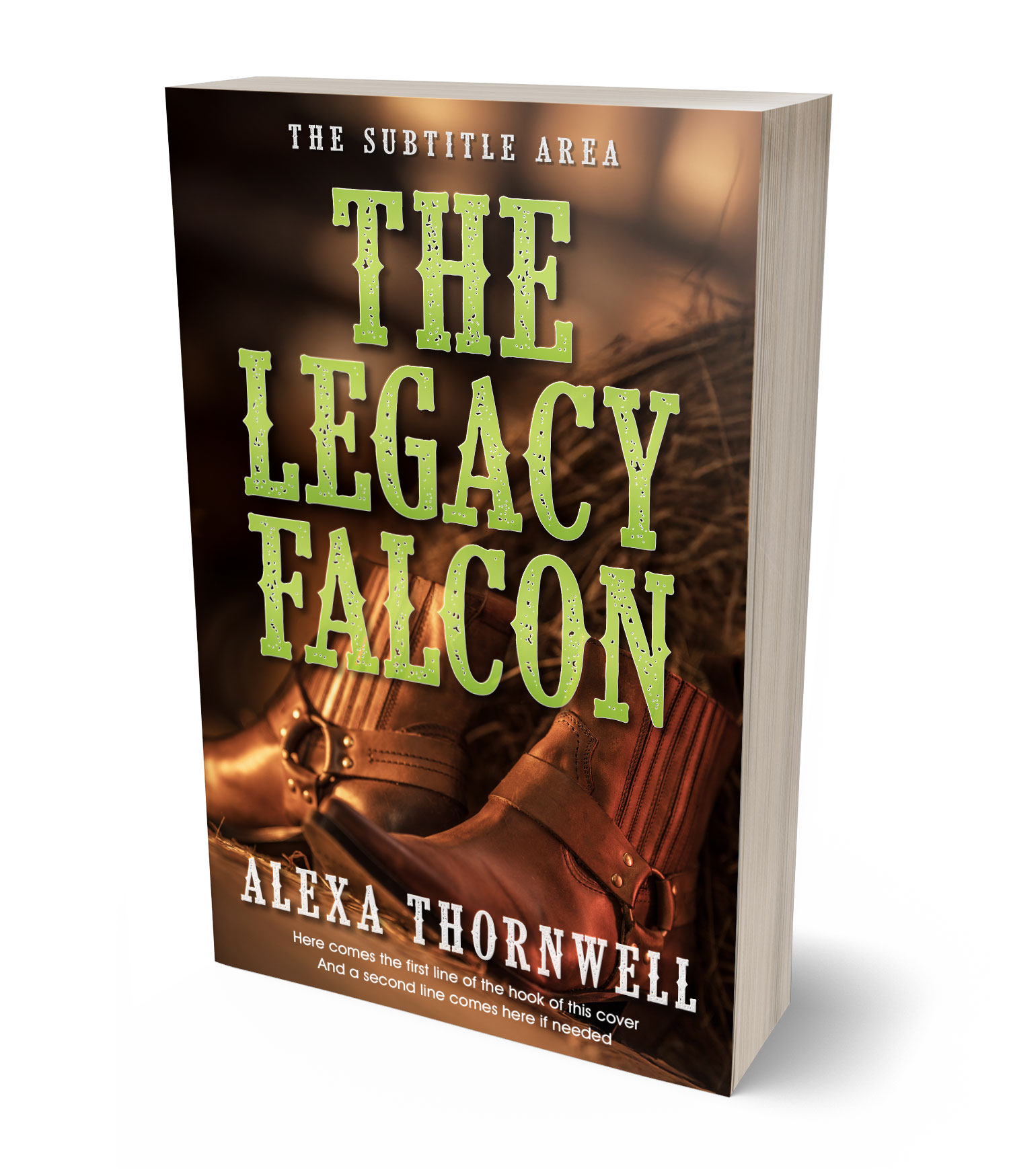 3D view of Custom & Premade Western Book Cover - Sambuca #36016 | BookCoverZone*