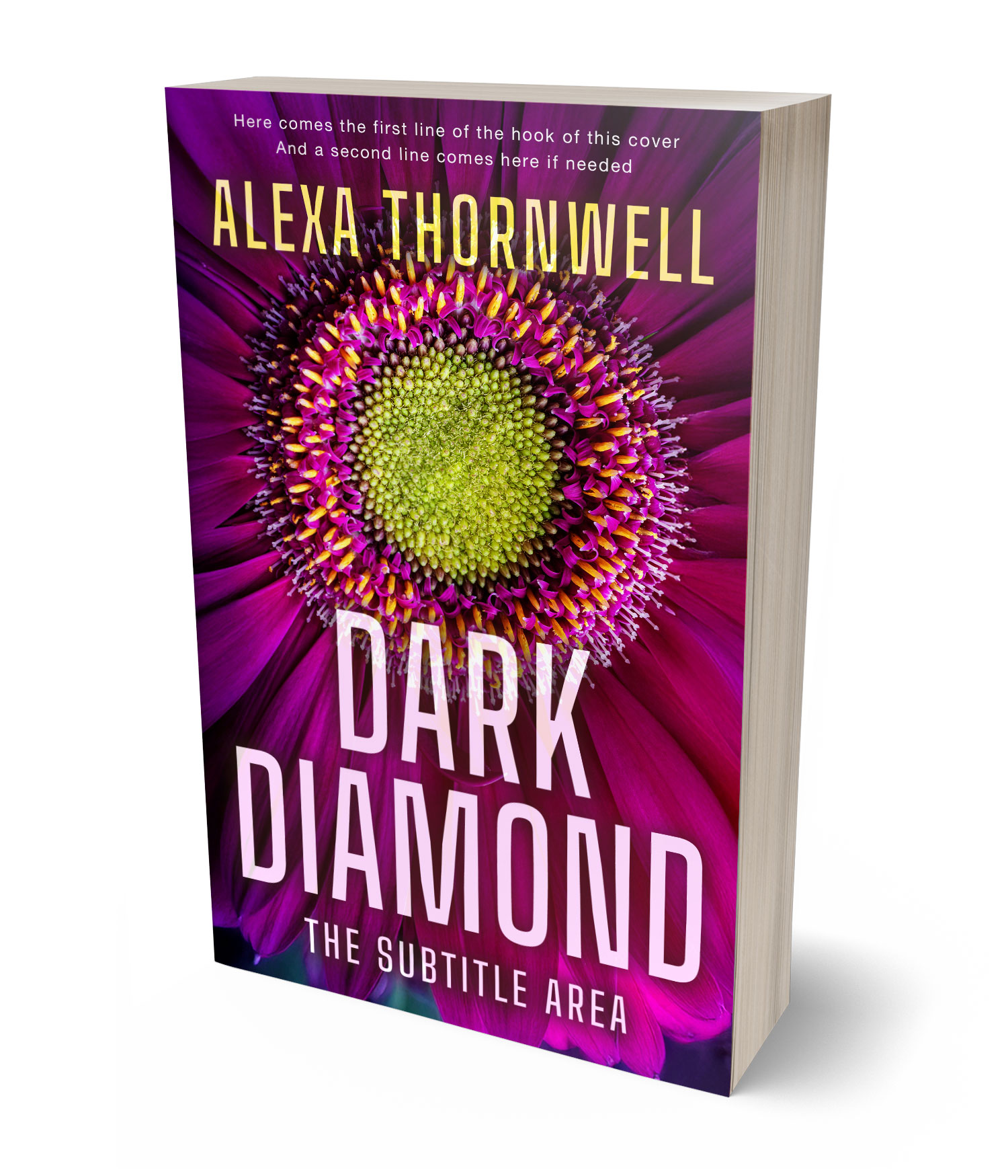 3D view of Custom & Premade Abstract Book Cover - Loulou #36045 | BookCoverZone*