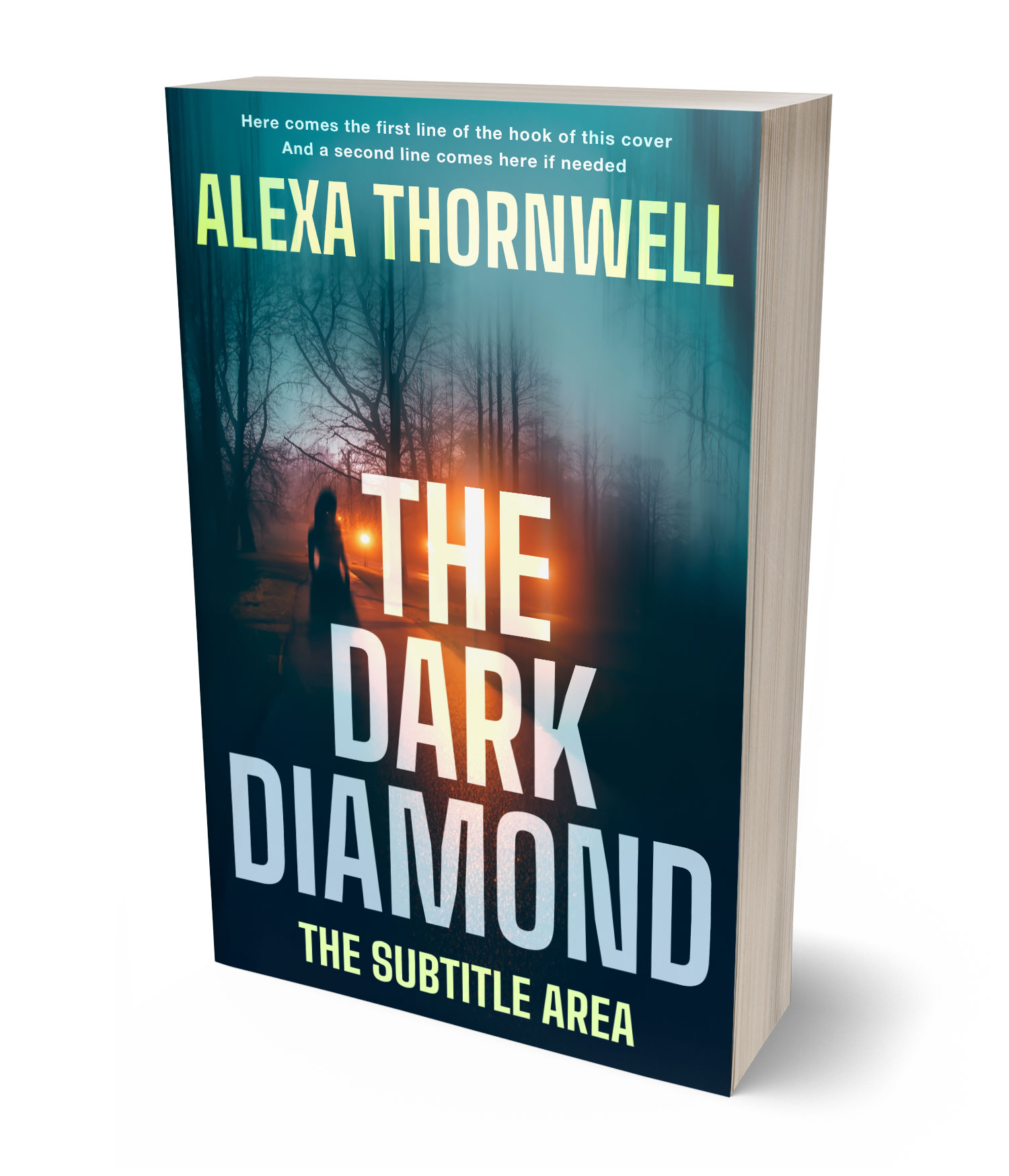 3D view of Custom & Premade Mystery & Thriller & Suspense Book Cover - Sisal #36053 | BookCoverZone*