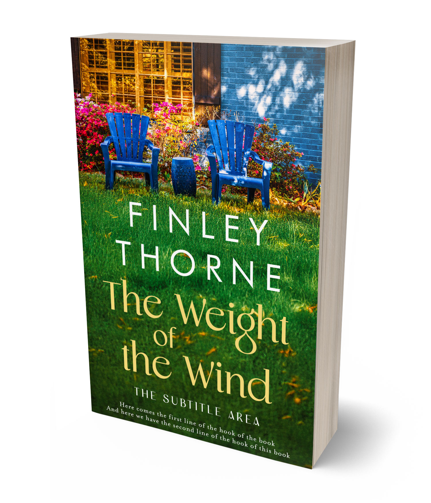 3D view of Custom & Premade Literary Fiction Book Cover - Seaweed #36075 | BookCoverZone*