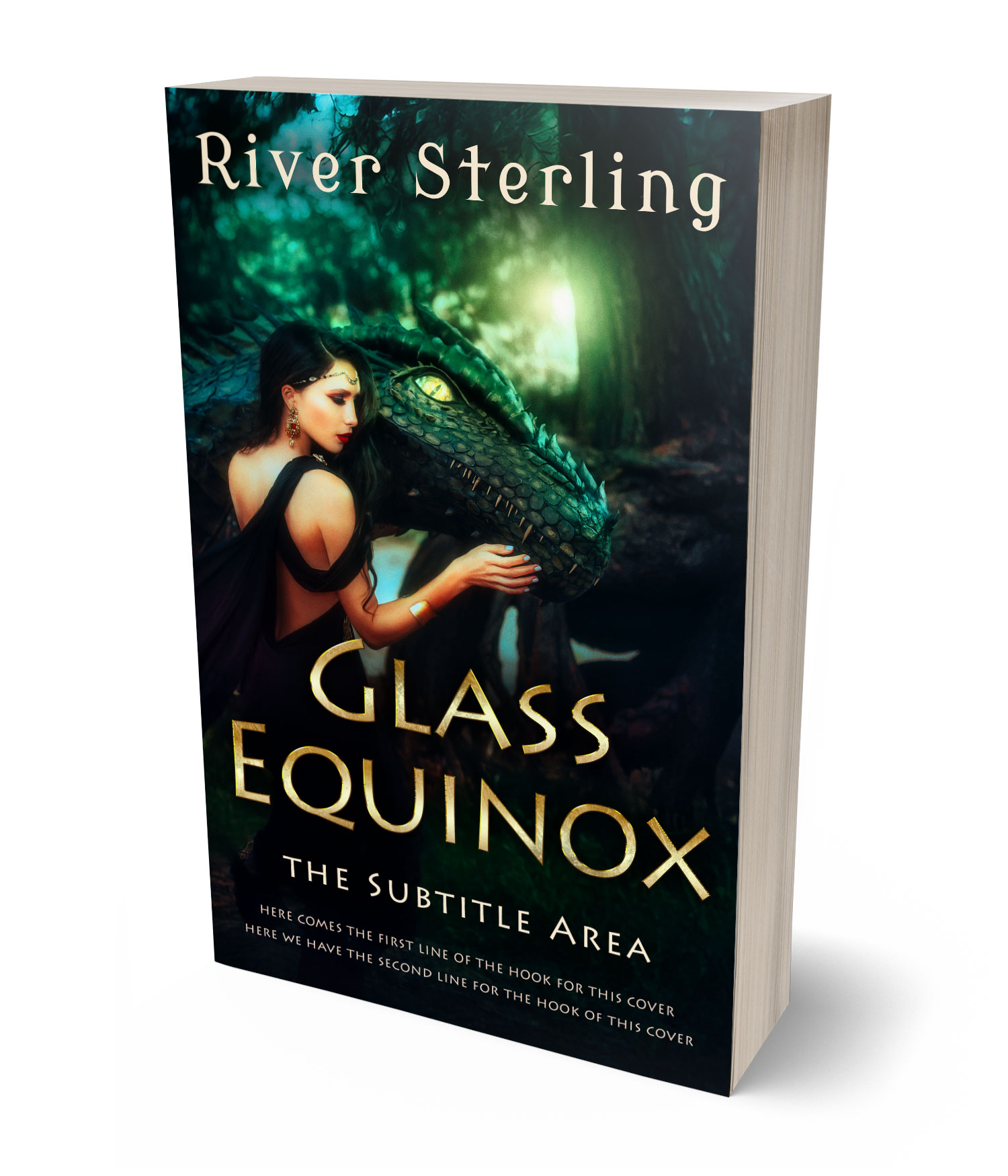 3D view of Custom & Premade Fantasy Book Cover - Aztec #36127 | BookCoverZone*