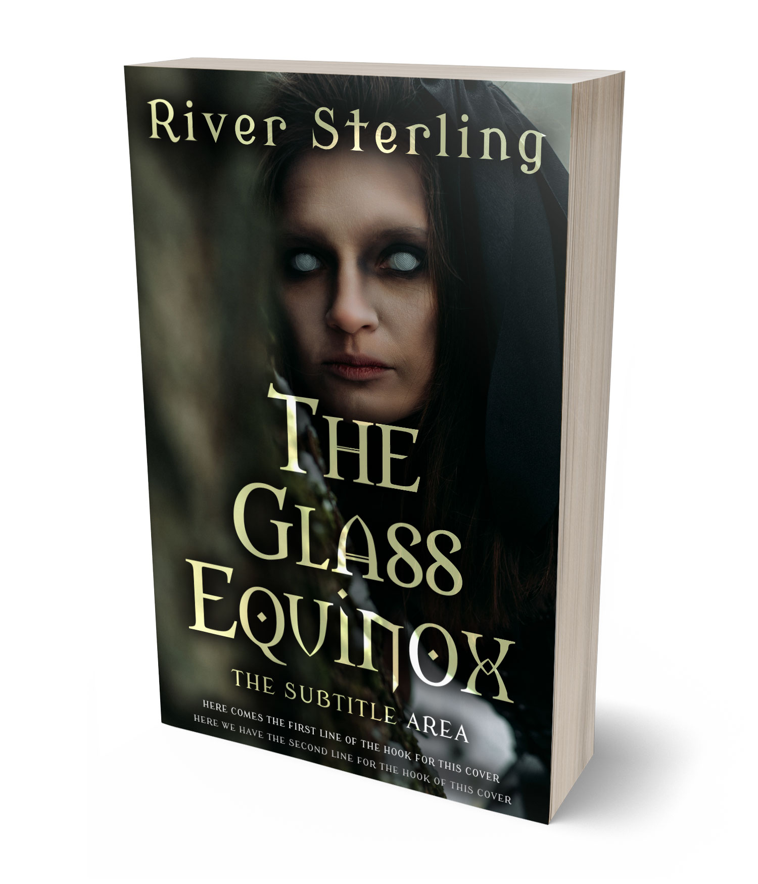 3D view of Custom & Premade Horror Book Cover - Log Cabin #36133 | BookCoverZone*