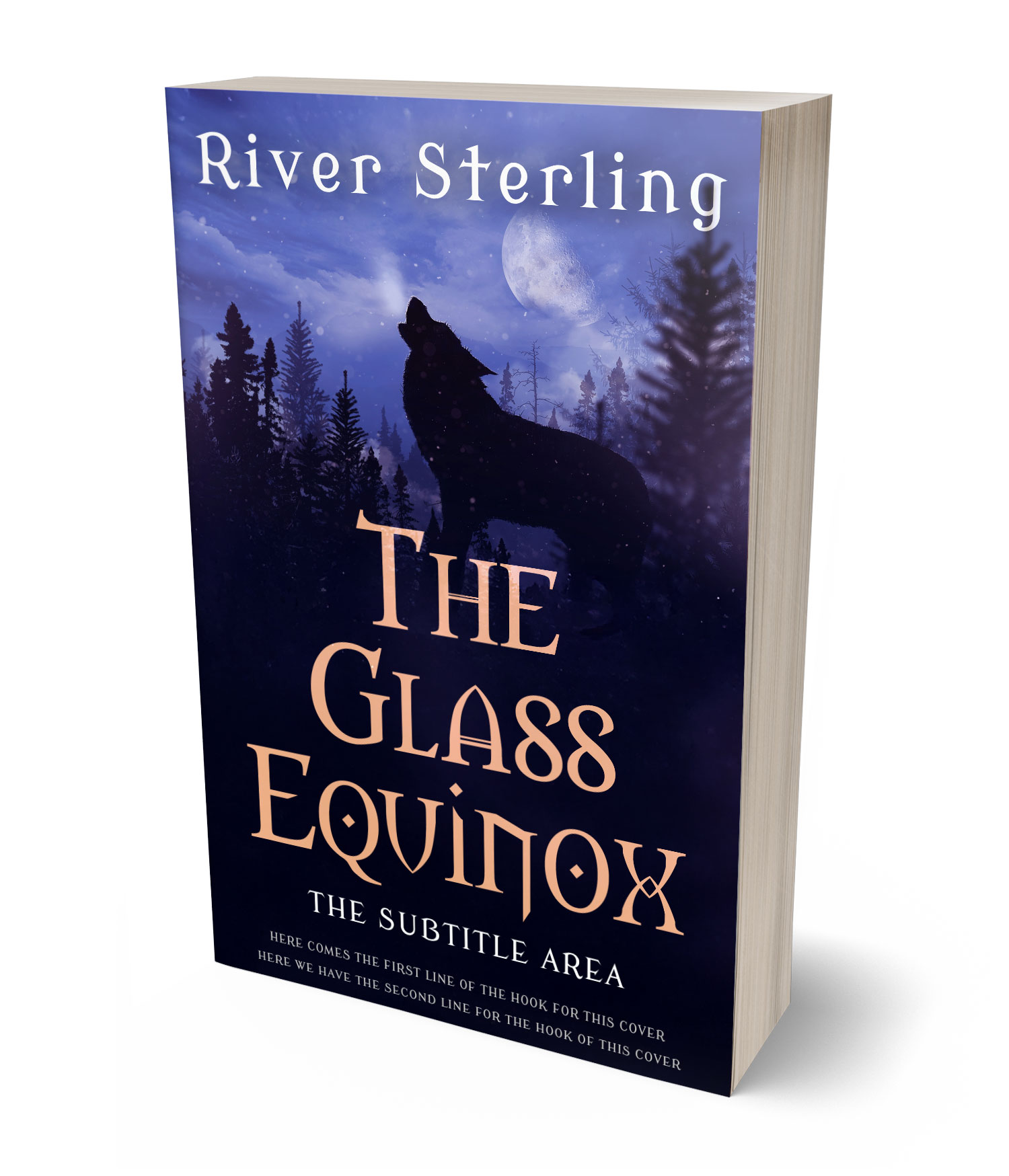 3D view of Custom & Premade Paranormal & Urban Book Cover - Haiti #36140 | BookCoverZone*