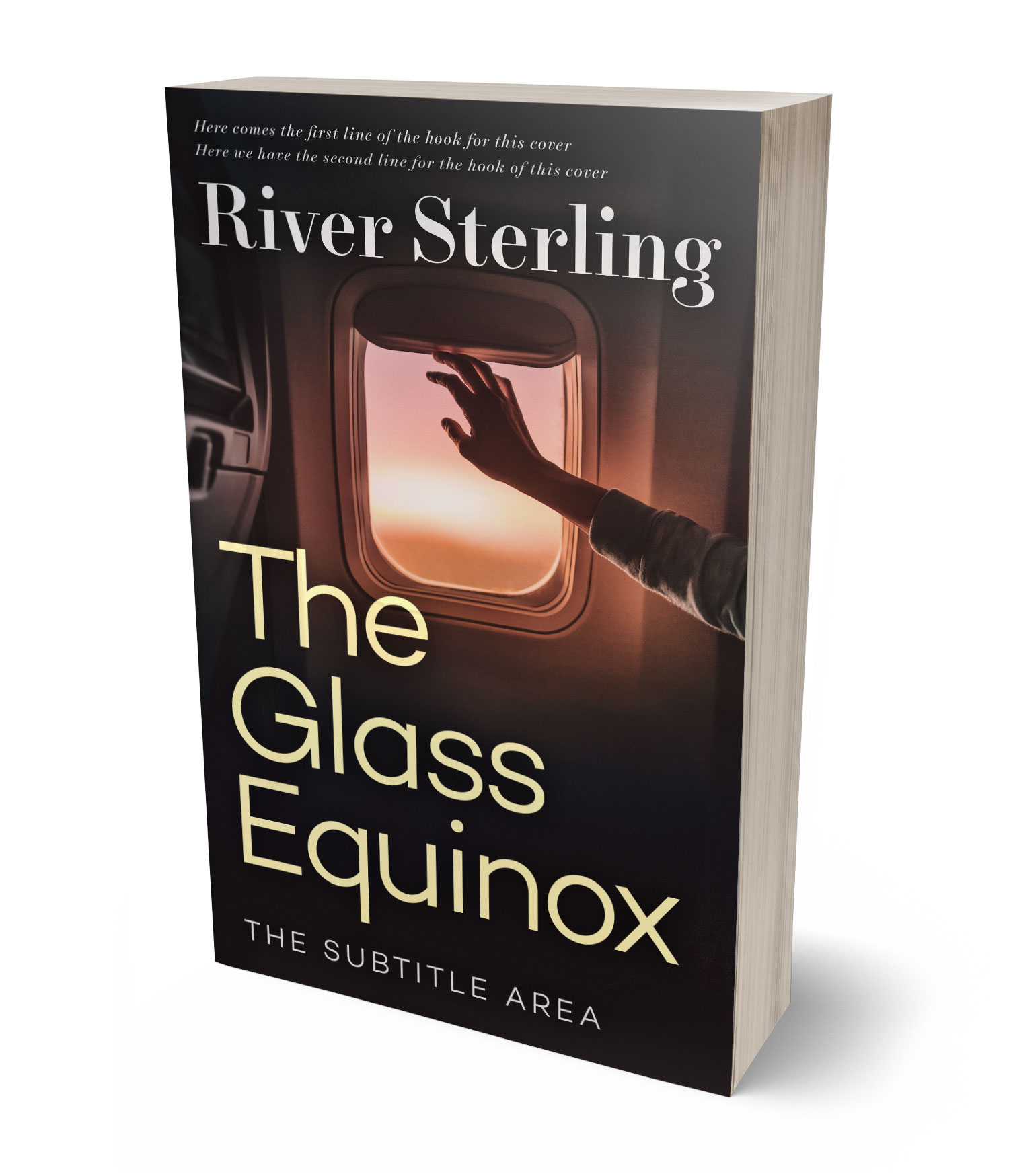 3D view of Custom & Premade Mystery & Thriller & Suspense Book Cover - Cocoa Brown #36154 | BookCoverZone*