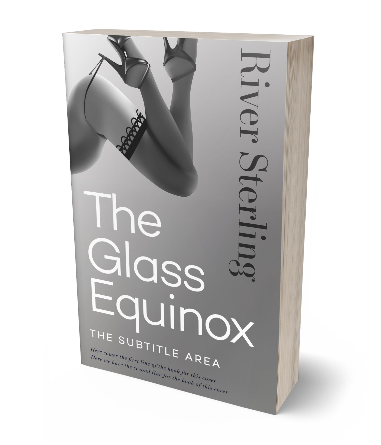 3D view of Custom & Premade Erotica Book Cover - Gray #36160 | BookCoverZone*