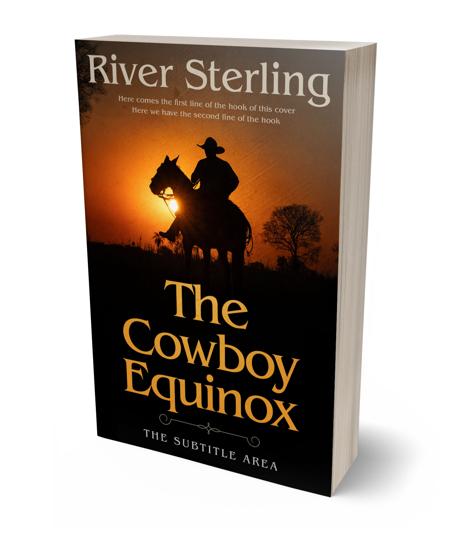 3D view of Premade Western Book Cover - Crowshead #36205 | BookCoverZone*