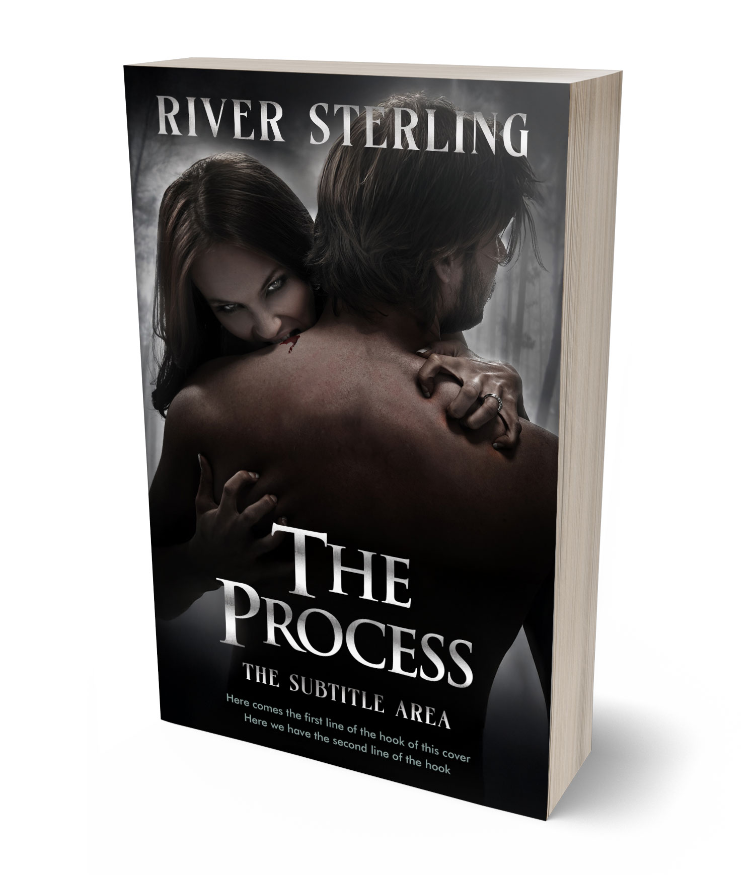 3D view of Premade Paranormal & Urban Book Cover - Cod Gray #36247 | BookCoverZone*