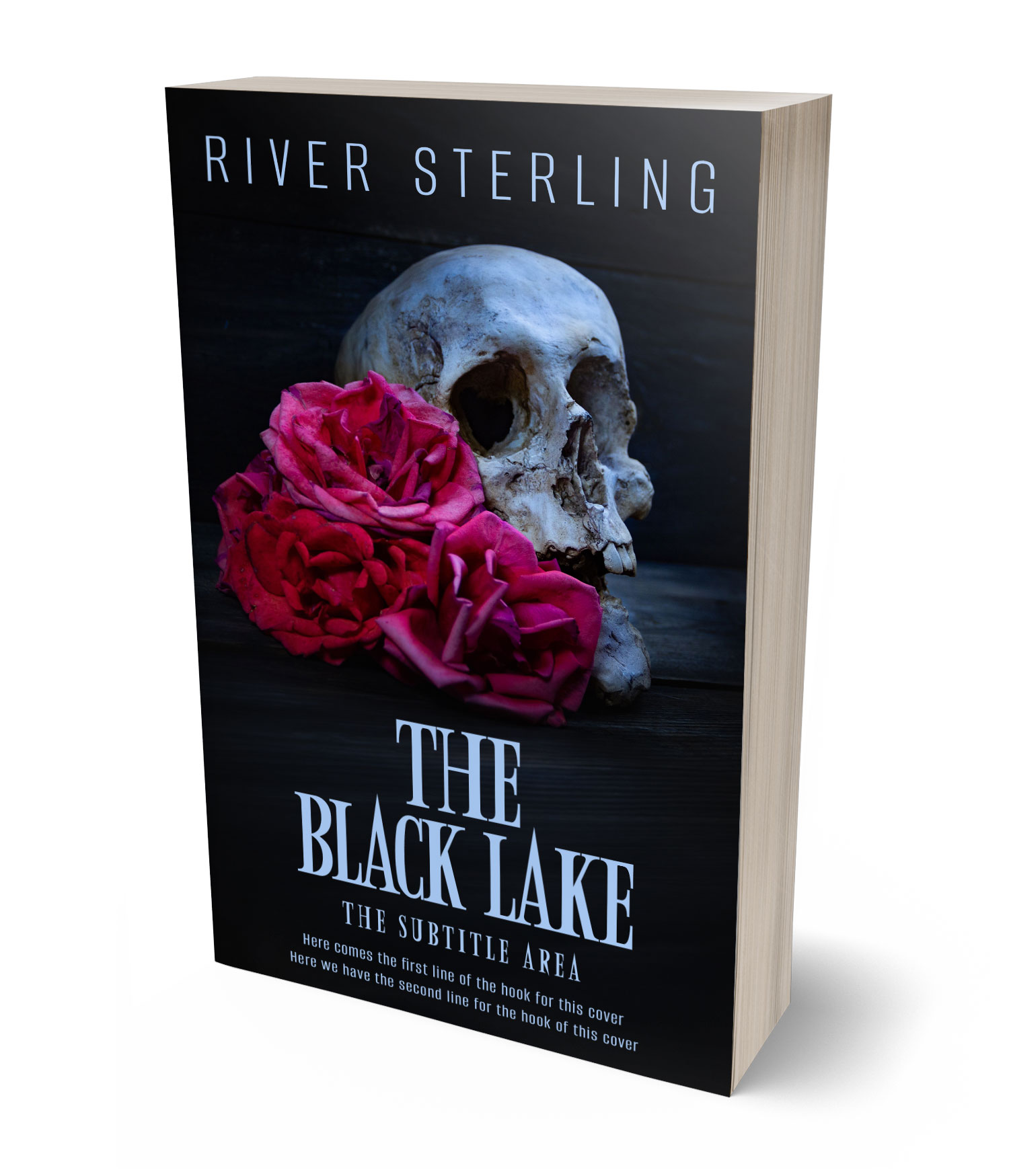 3D view of Premade Horror Book Cover - Gondola #36283 | BookCoverZone*