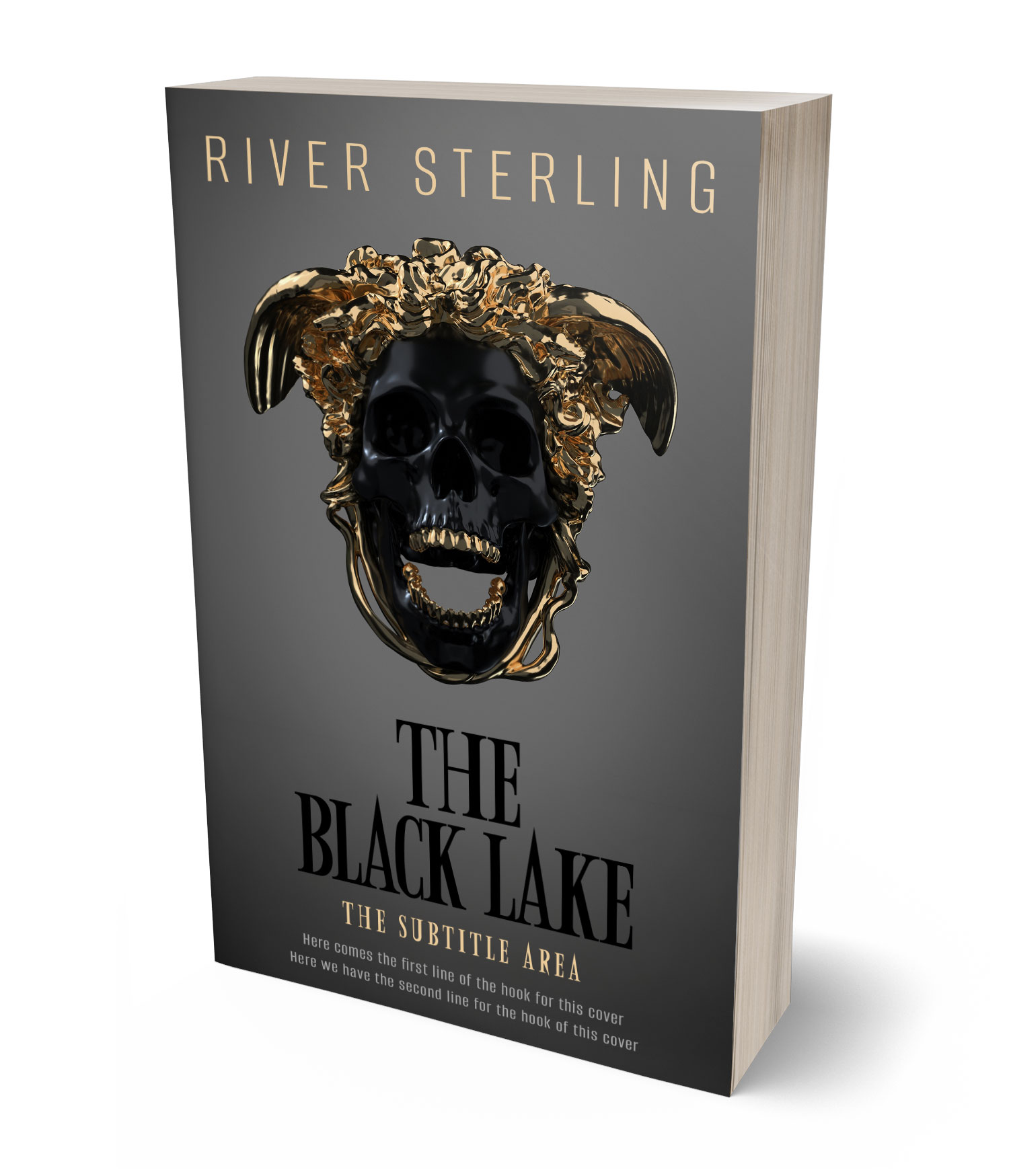 3D view of Premade Horror Book Cover - Masala #36284 | BookCoverZone*