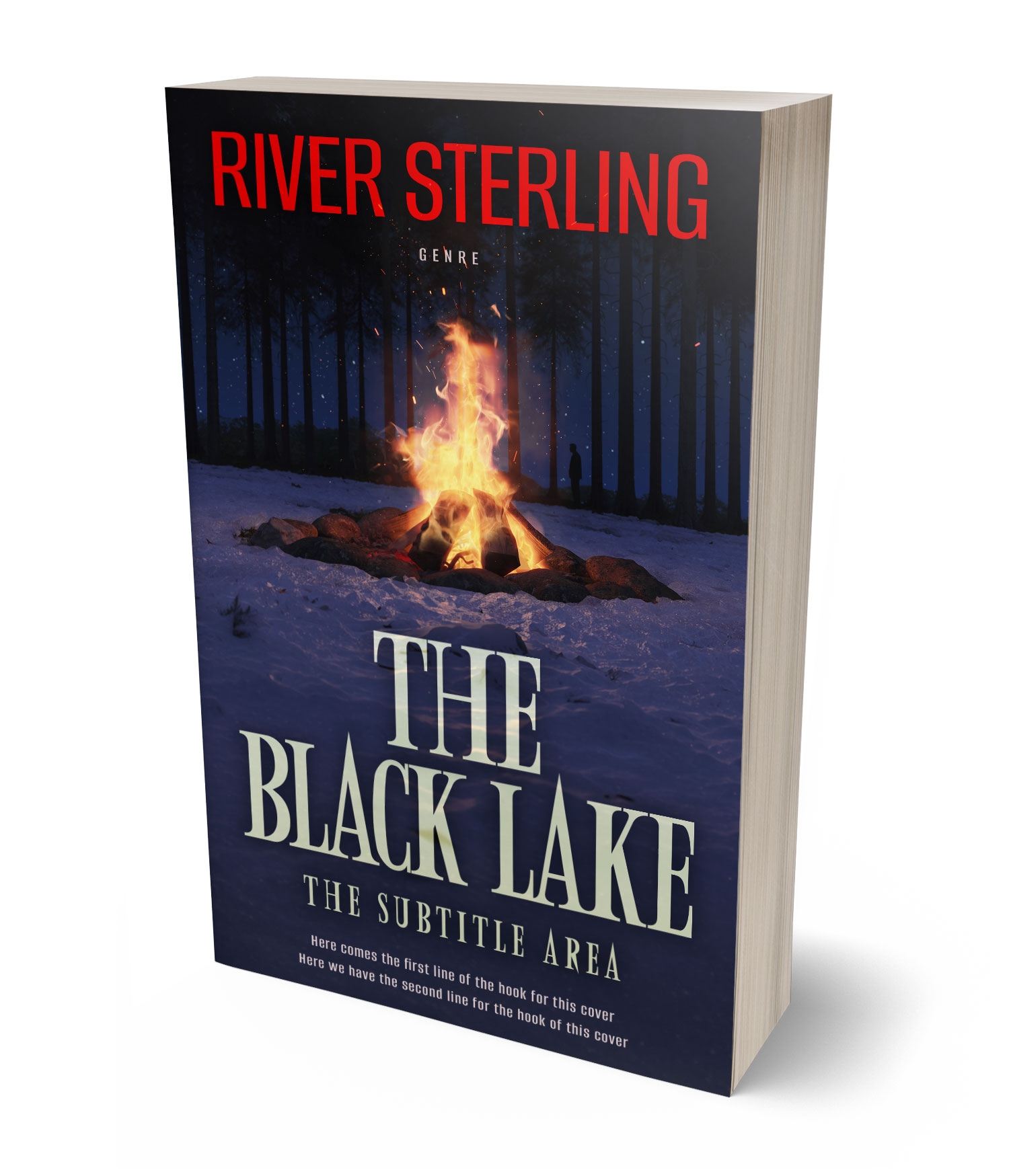 3D view of Premade Mystery & Thriller & Suspense Book Cover - Ebony Clay
