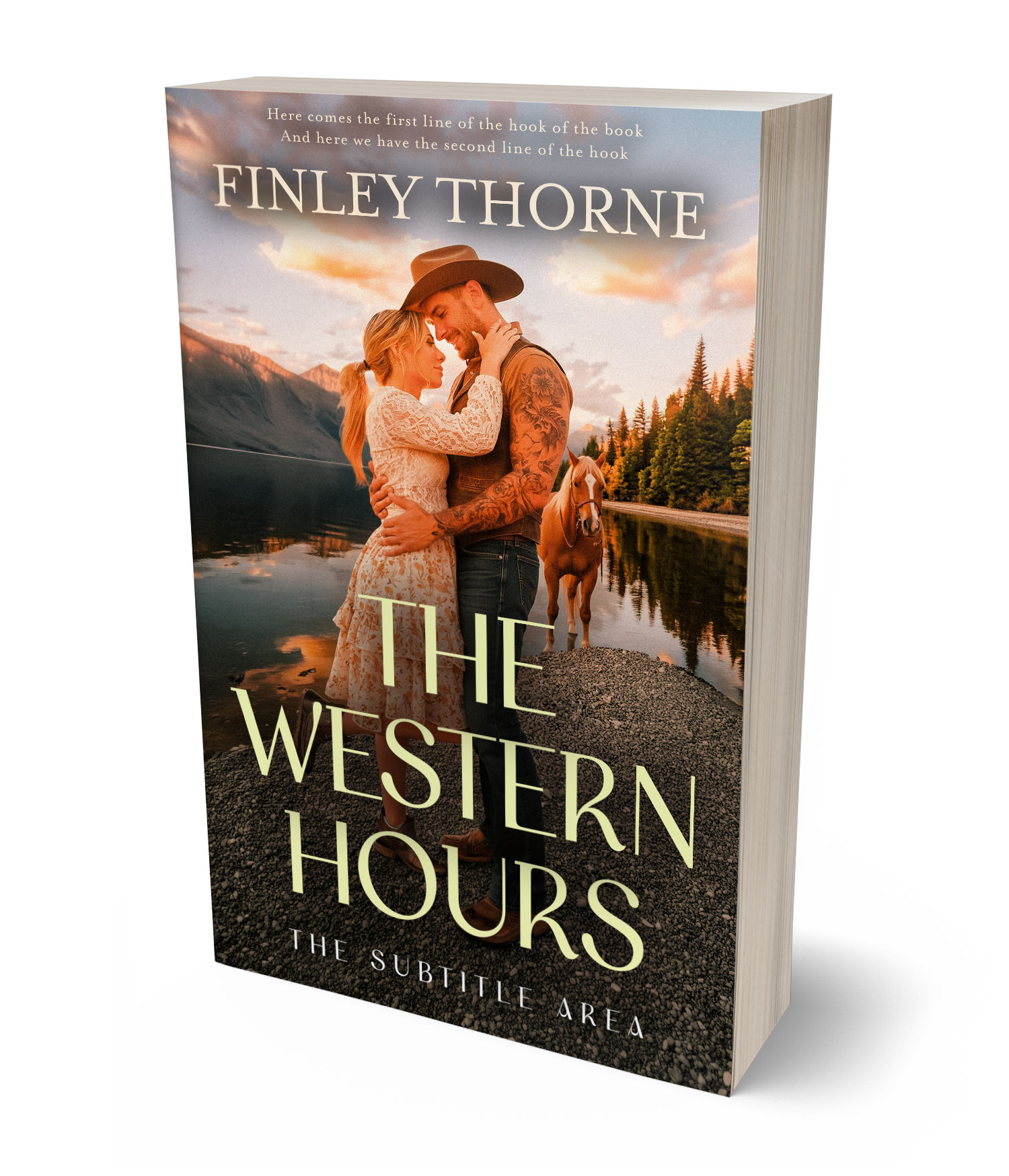 3D view of Premade  Book Cover - Calico #36307 | BookCoverZone*
