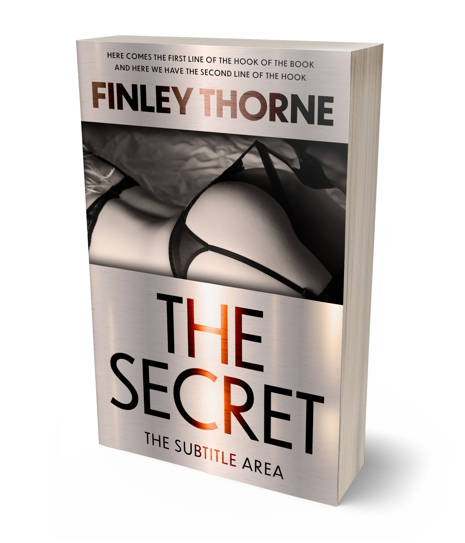 3D view of Premade Erotica Book Cover - Silver Rust #36402 | BookCoverZone*