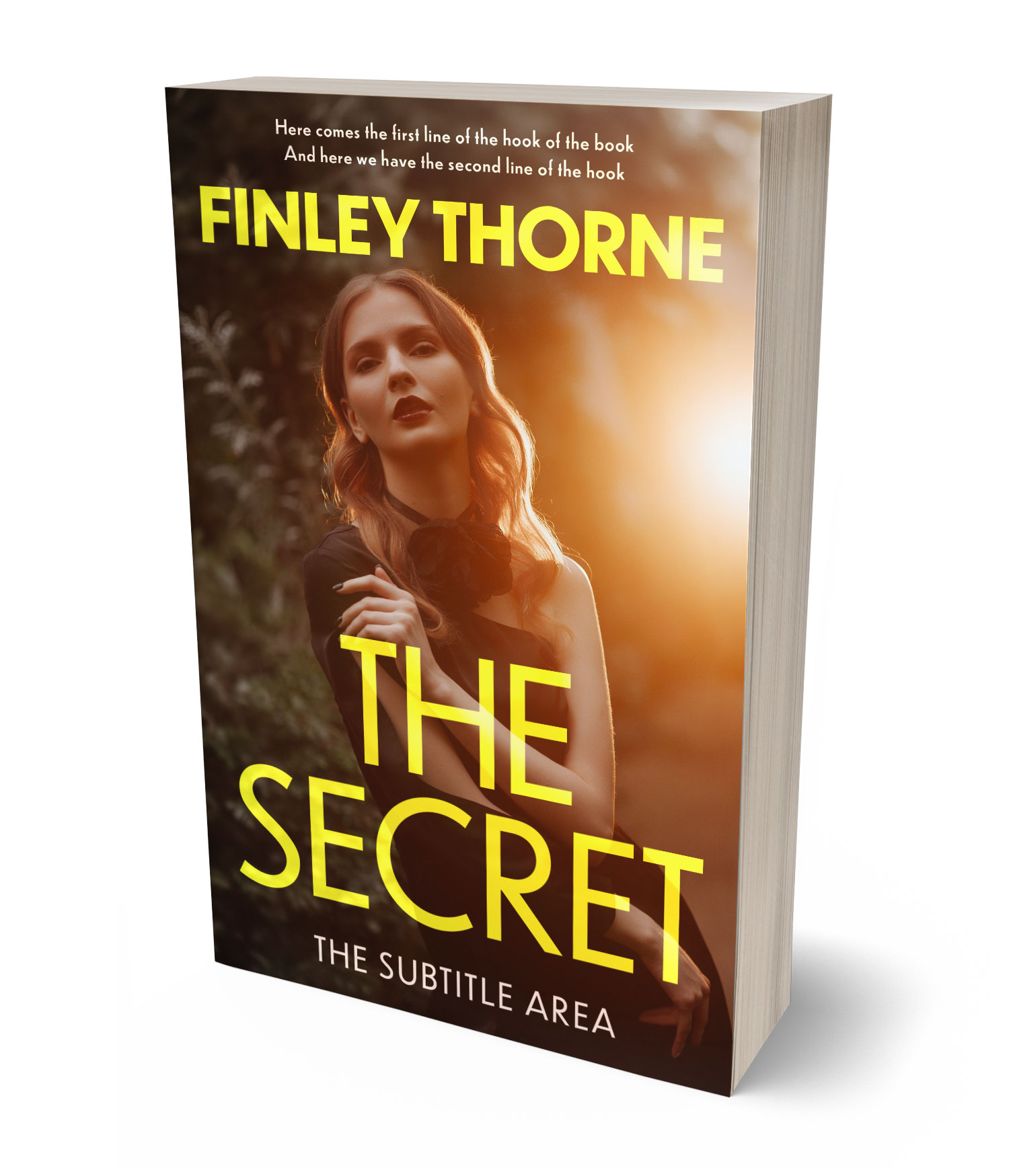 3D view of Premade Mystery & Thriller & Suspense Book Cover - Brown Derby #36413 | BookCoverZone*