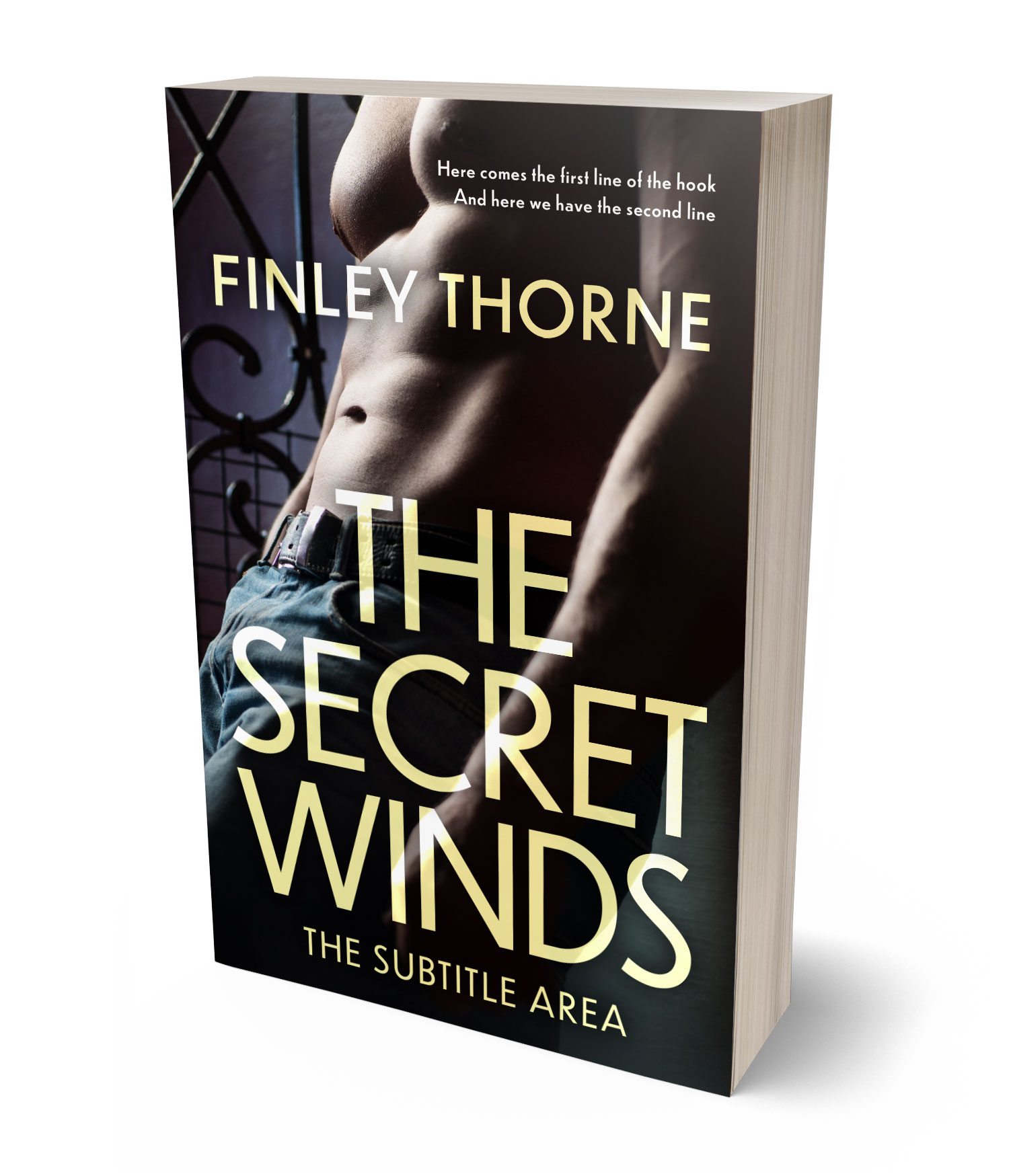 3D view of Premade Erotica Book Cover - Grain Brown #36421 | BookCoverZone*