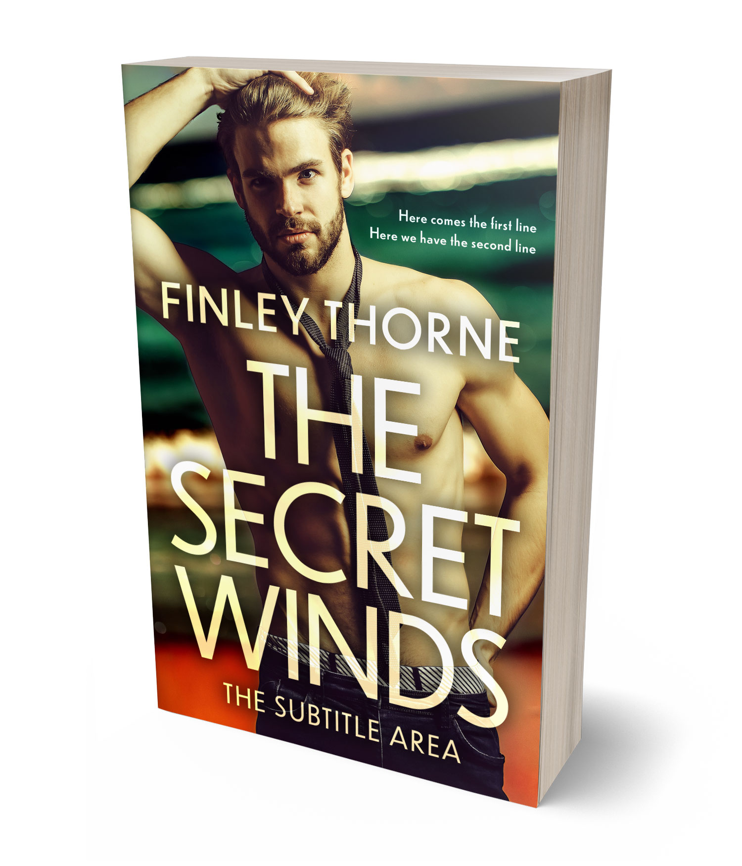 3D view of Premade Romance Book Cover - Calico #36422 | BookCoverZone*