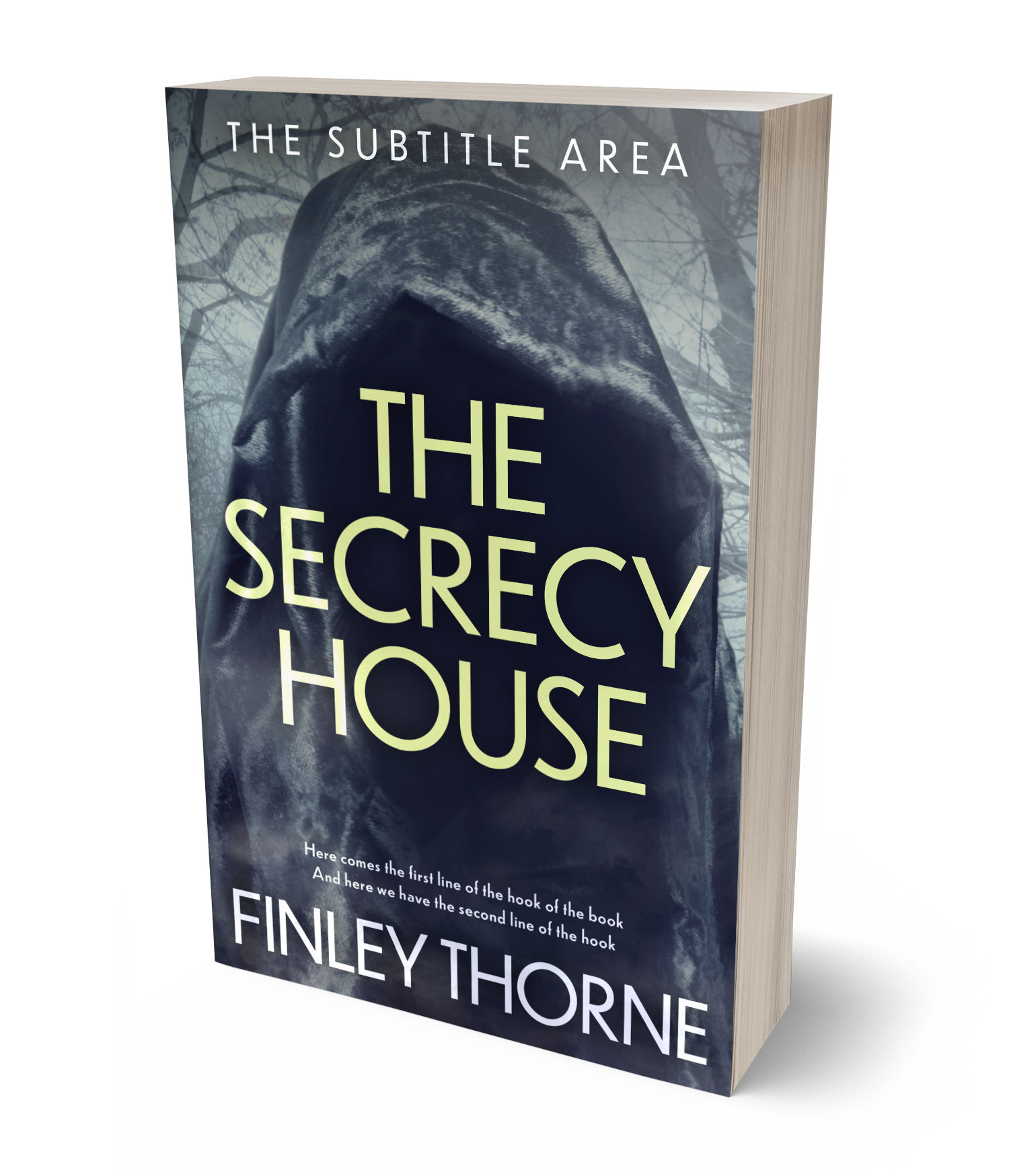 3D view of Premade Horror Book Cover - Ebony Clay #36433 | BookCoverZone*