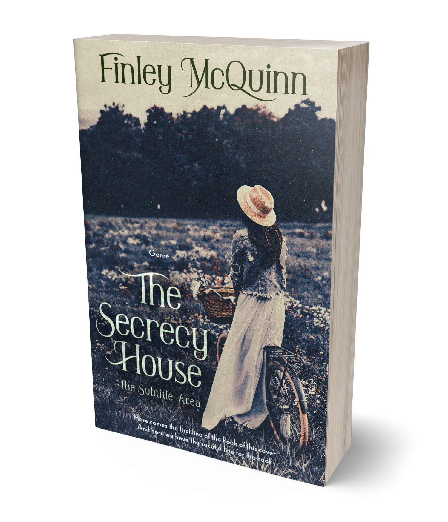 3D view of Premade Historical Book Cover - Soft Amber #36462 | BookCoverZone*