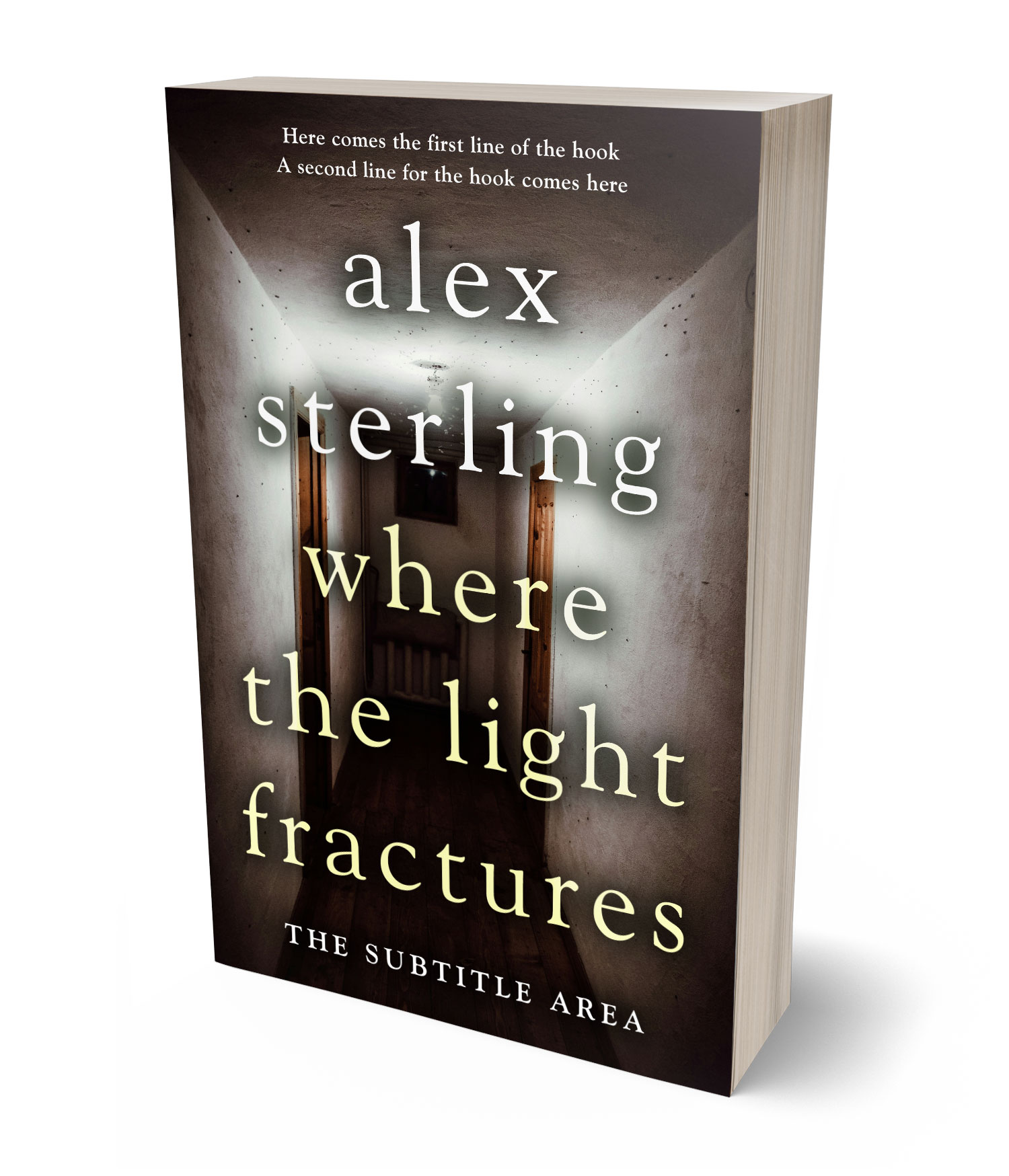 3D view of Premade Mystery & Thriller & Suspense Book Cover - Cocoa Brown #36506 | BookCoverZone*