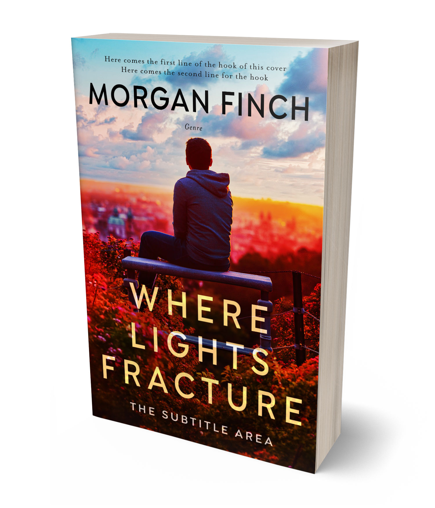 3D view of Premade Literary Fiction Book Cover - Tumbleweed