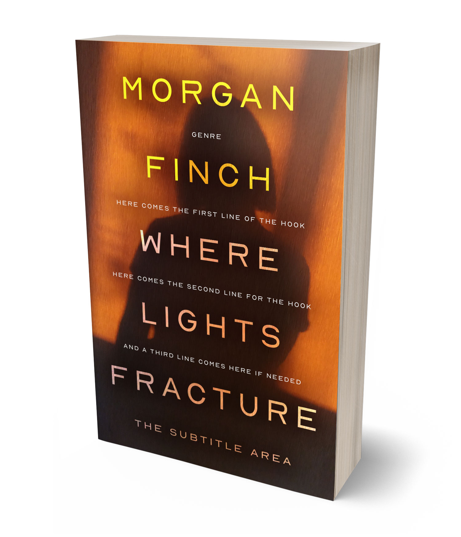 3D view of Premade Mystery & Thriller & Suspense Book Cover - Brandy Punch #36641 | BookCoverZone*