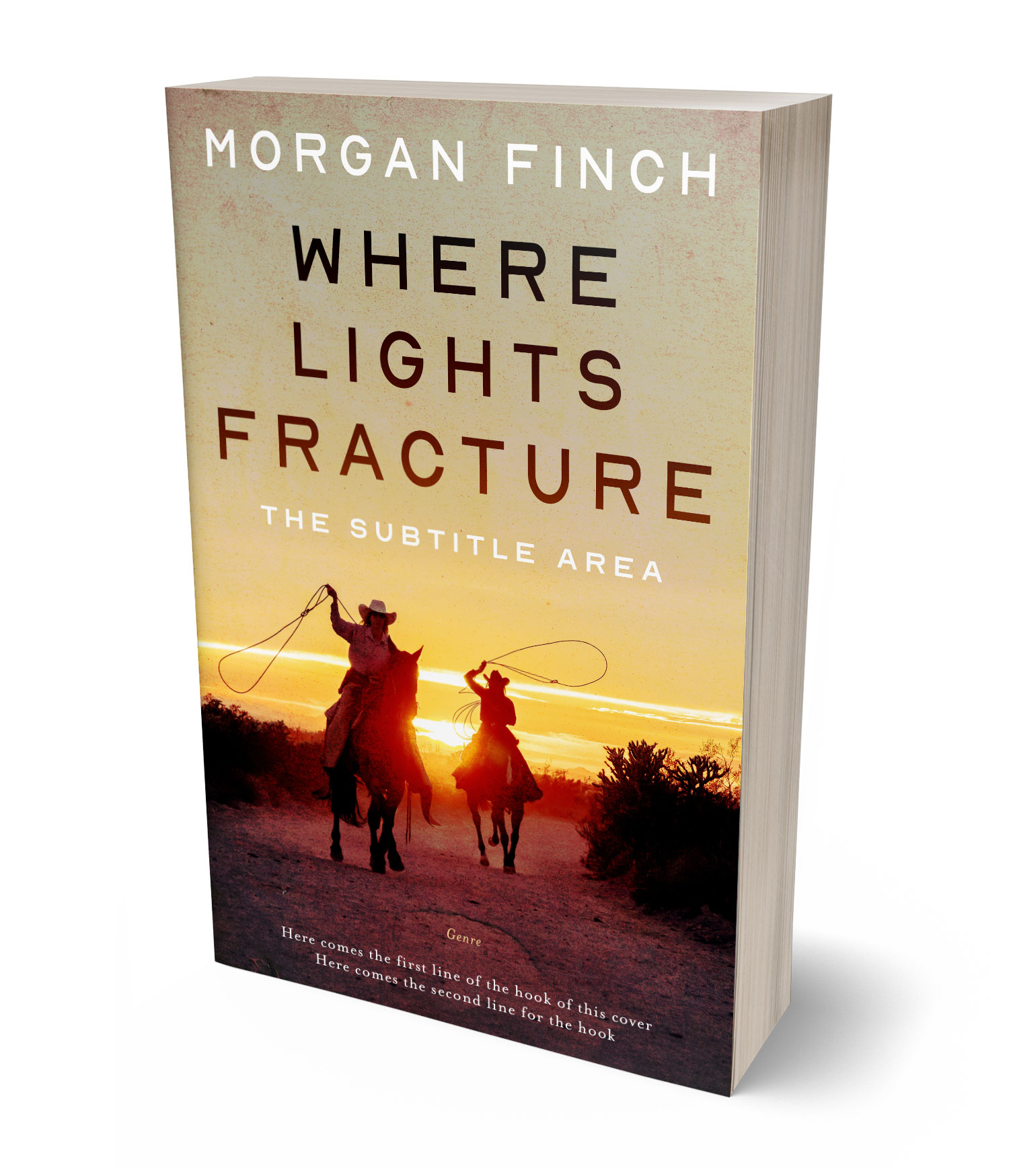 3D view of Premade Western Book Cover - Straw #36649 | BookCoverZone*