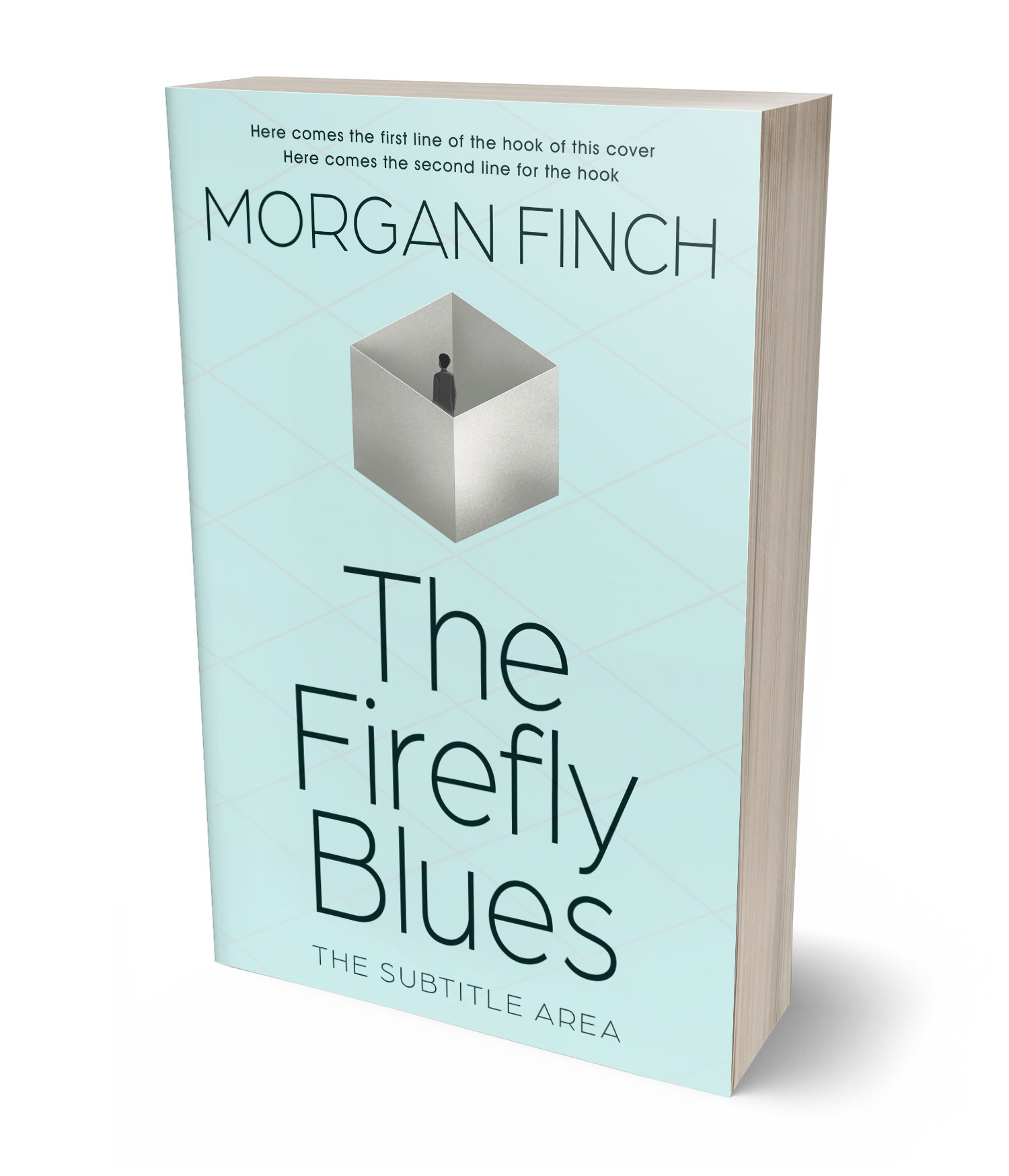 3D view of Premade Literary Fiction Book Cover - Botticelli #36738 | BookCoverZone*