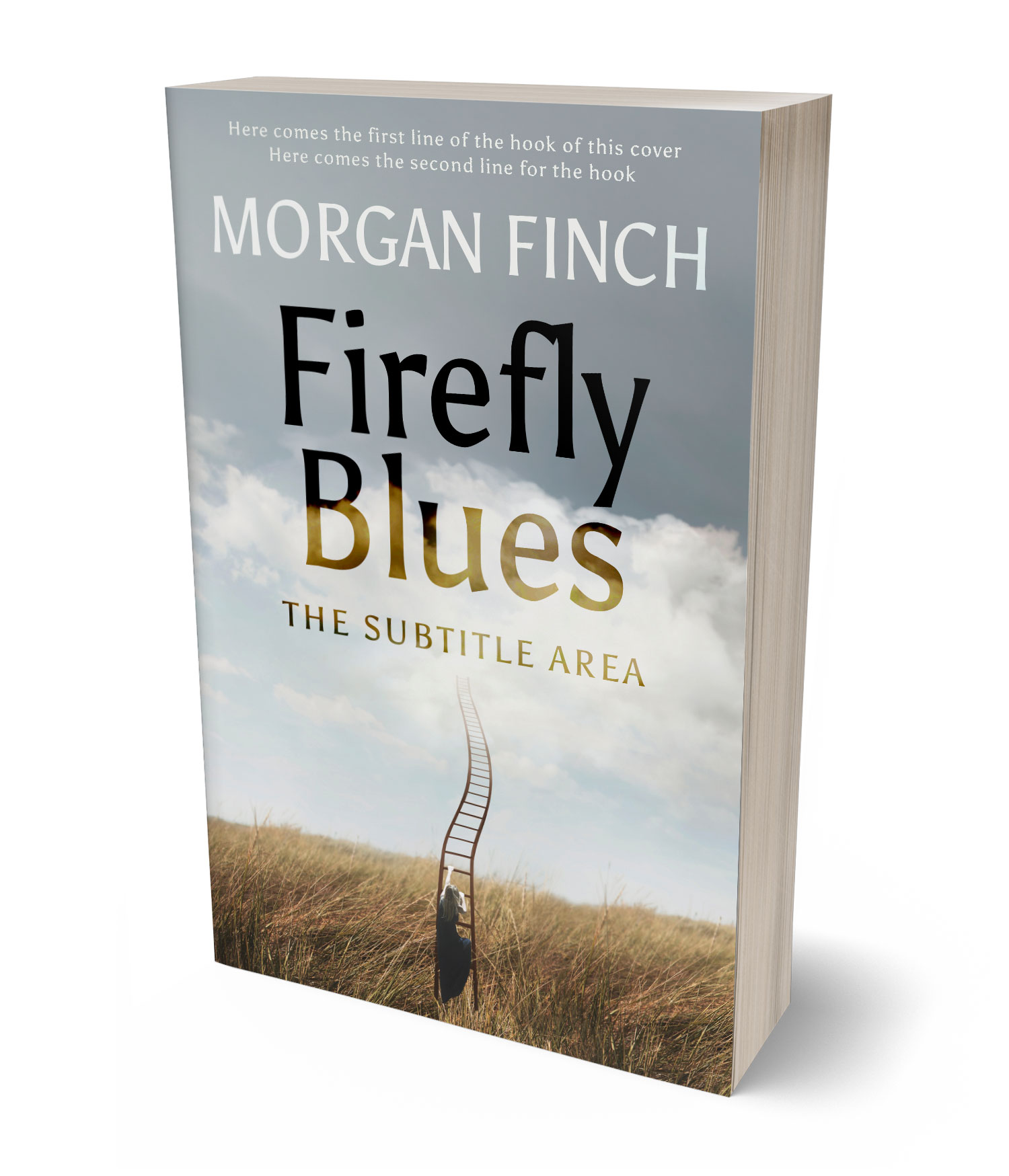 3D view of Premade Poetry Book Cover - Pumice #36754 | BookCoverZone*