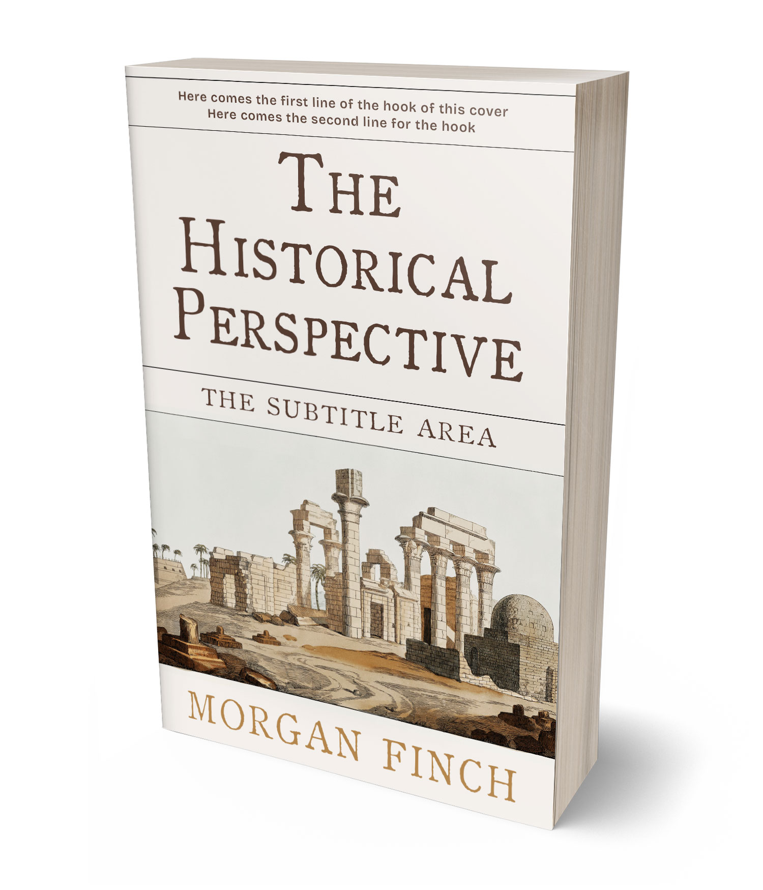 3D view of Premade History Book Cover - Pampas #36799 | BookCoverZone*
