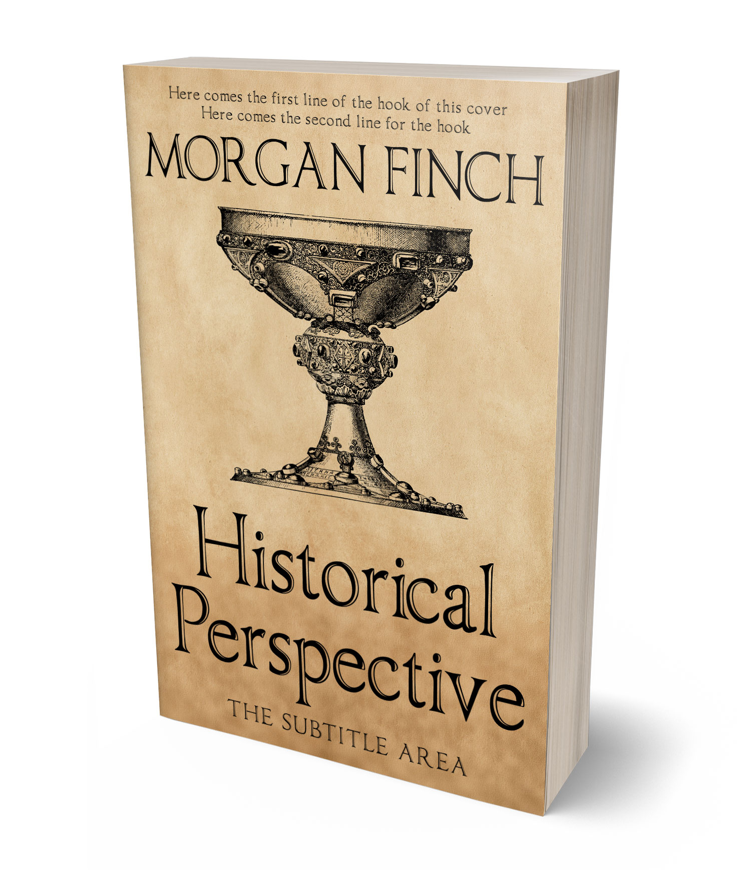 3D view of Premade Historical Book Cover - Straw #36806 | BookCoverZone*