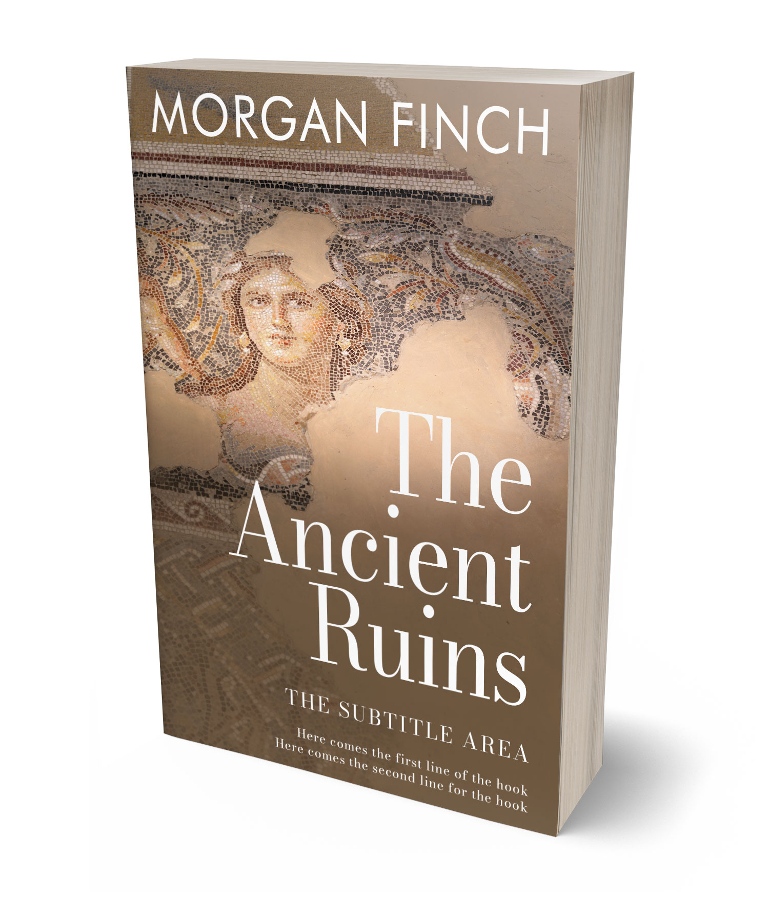 3D view of Premade History Book Cover - Roman Coffee #36821 | BookCoverZone*