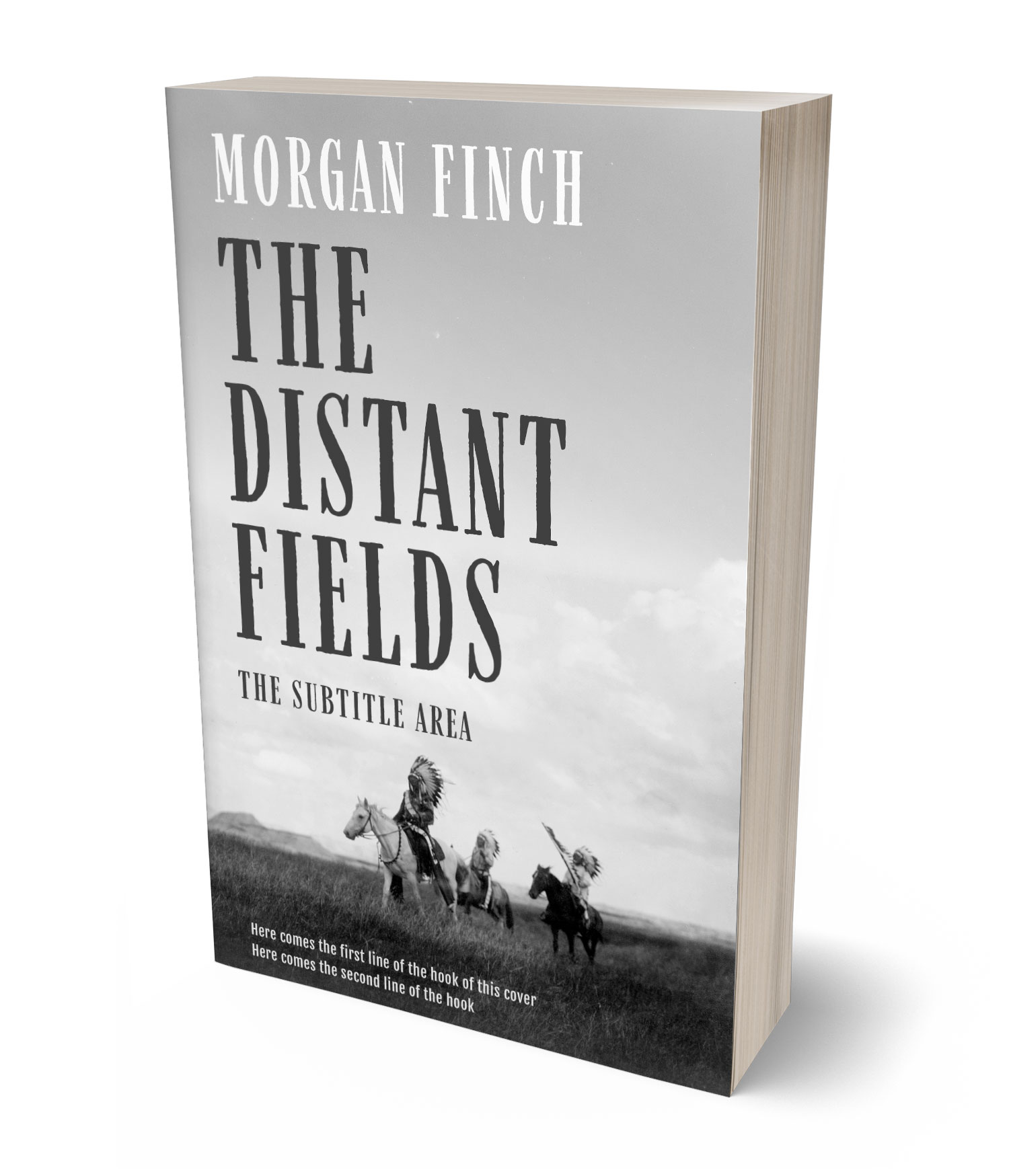 3D view of Premade Western Book Cover - Alto #36840 | BookCoverZone*