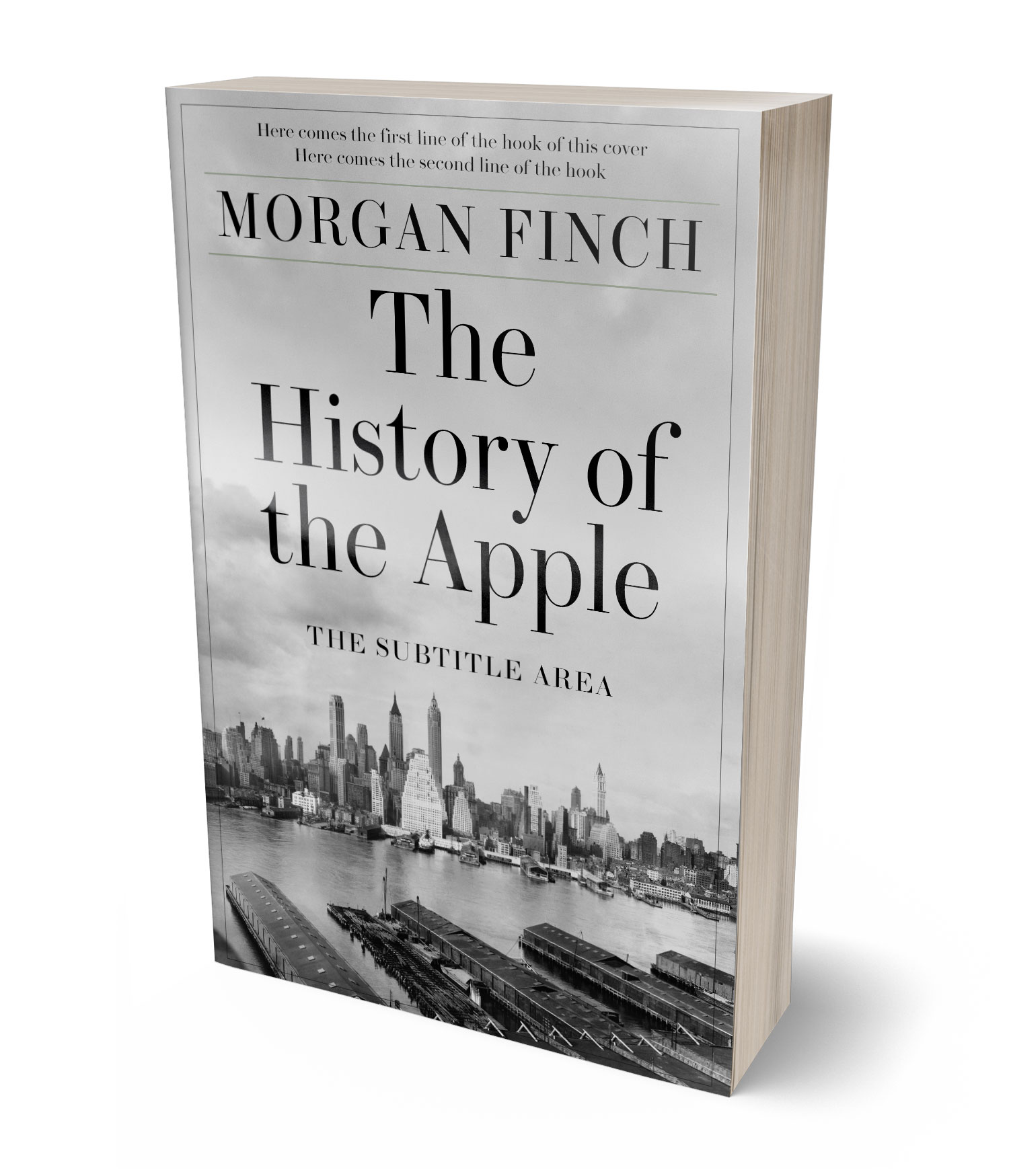 3D view of Premade Historical Book Cover - Silver #36844 | BookCoverZone*