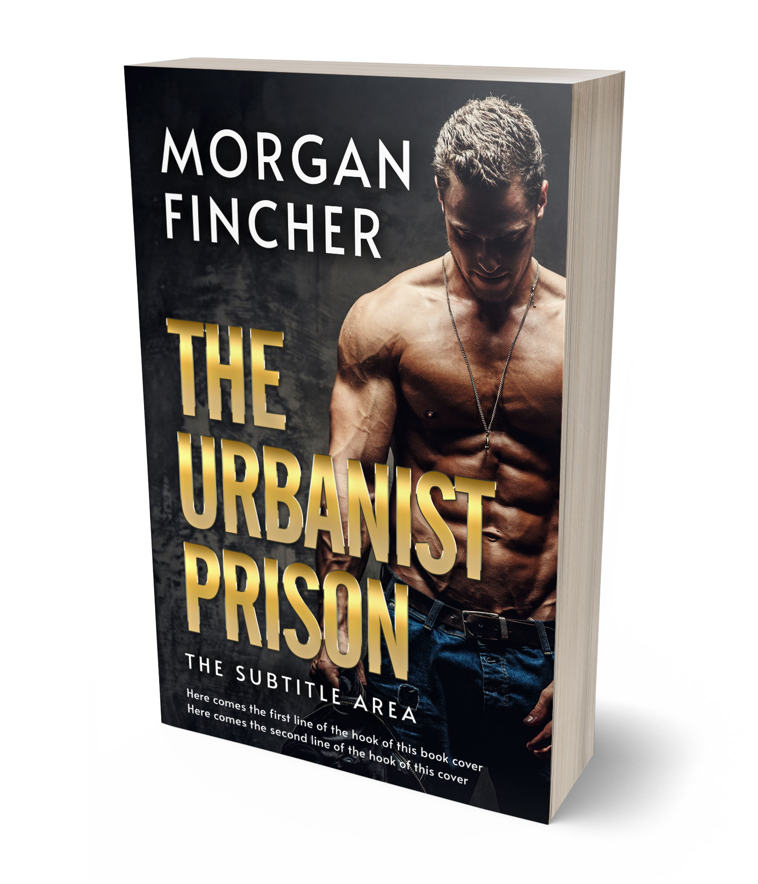 3D view of Premade Mystery & Thriller & Suspense Book Cover - Straw #36902 | BookCoverZone*