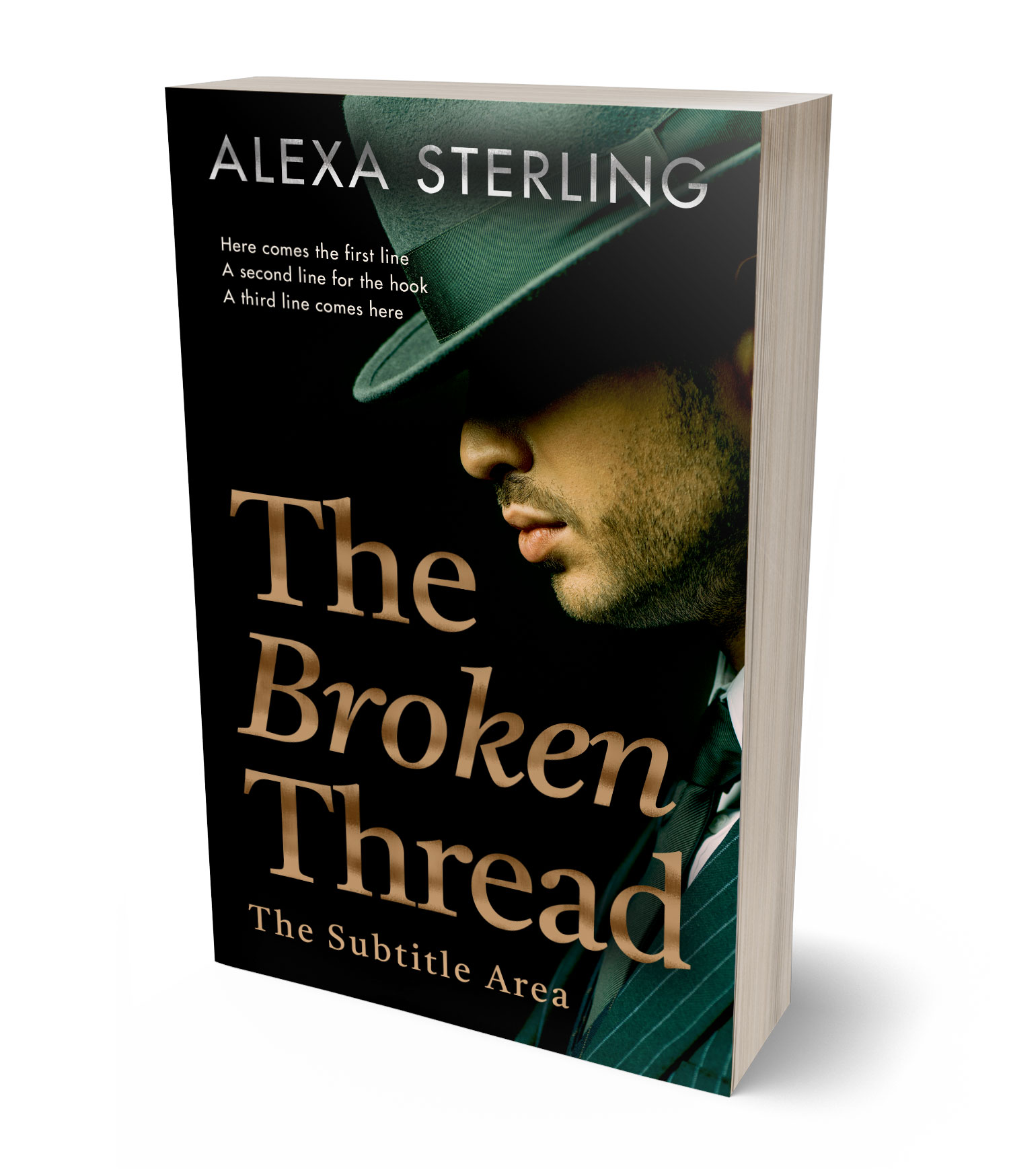 3D view of Premade Mystery & Thriller & Suspense Book Cover - Muesli #36967 | BookCoverZone*