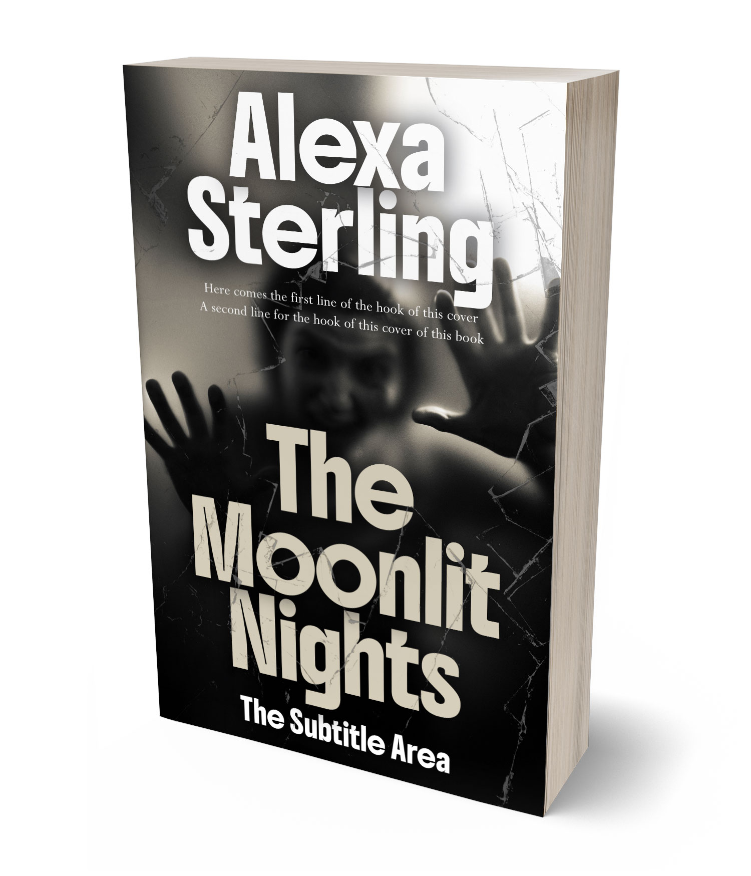 3D view of Premade Mystery & Thriller & Suspense Book Cover - Sisal #37065 | BookCoverZone*