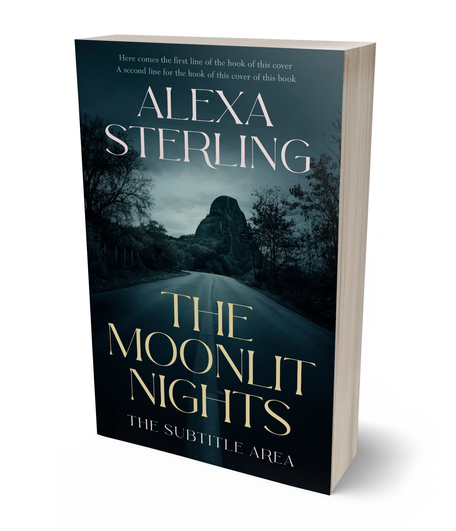 3D view of Premade Mystery & Thriller & Suspense Book Cover - Firefly #37084 | BookCoverZone*