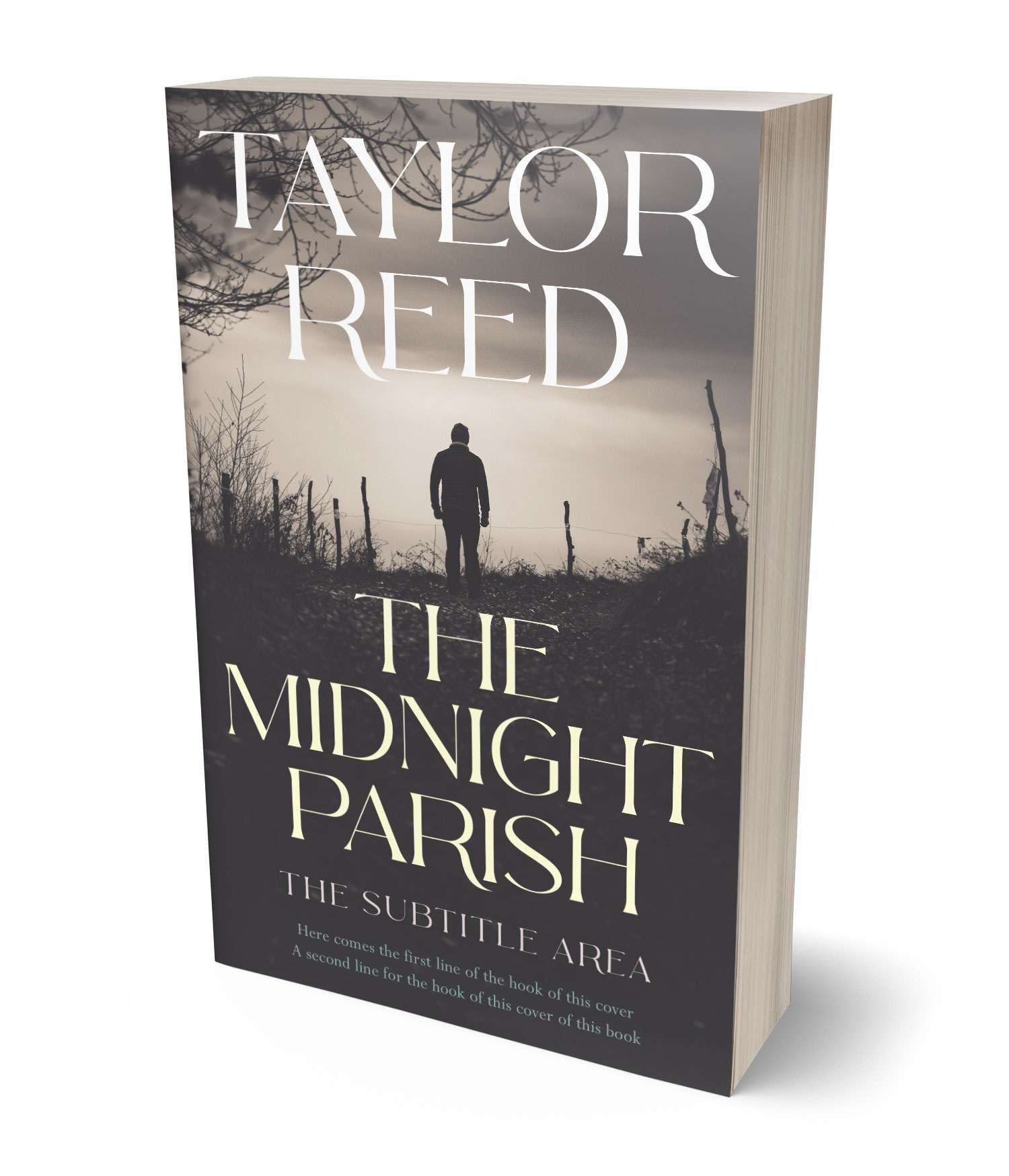 3D view of Premade Mystery & Thriller & Suspense Book Cover - Tundora #37094 | BookCoverZone*