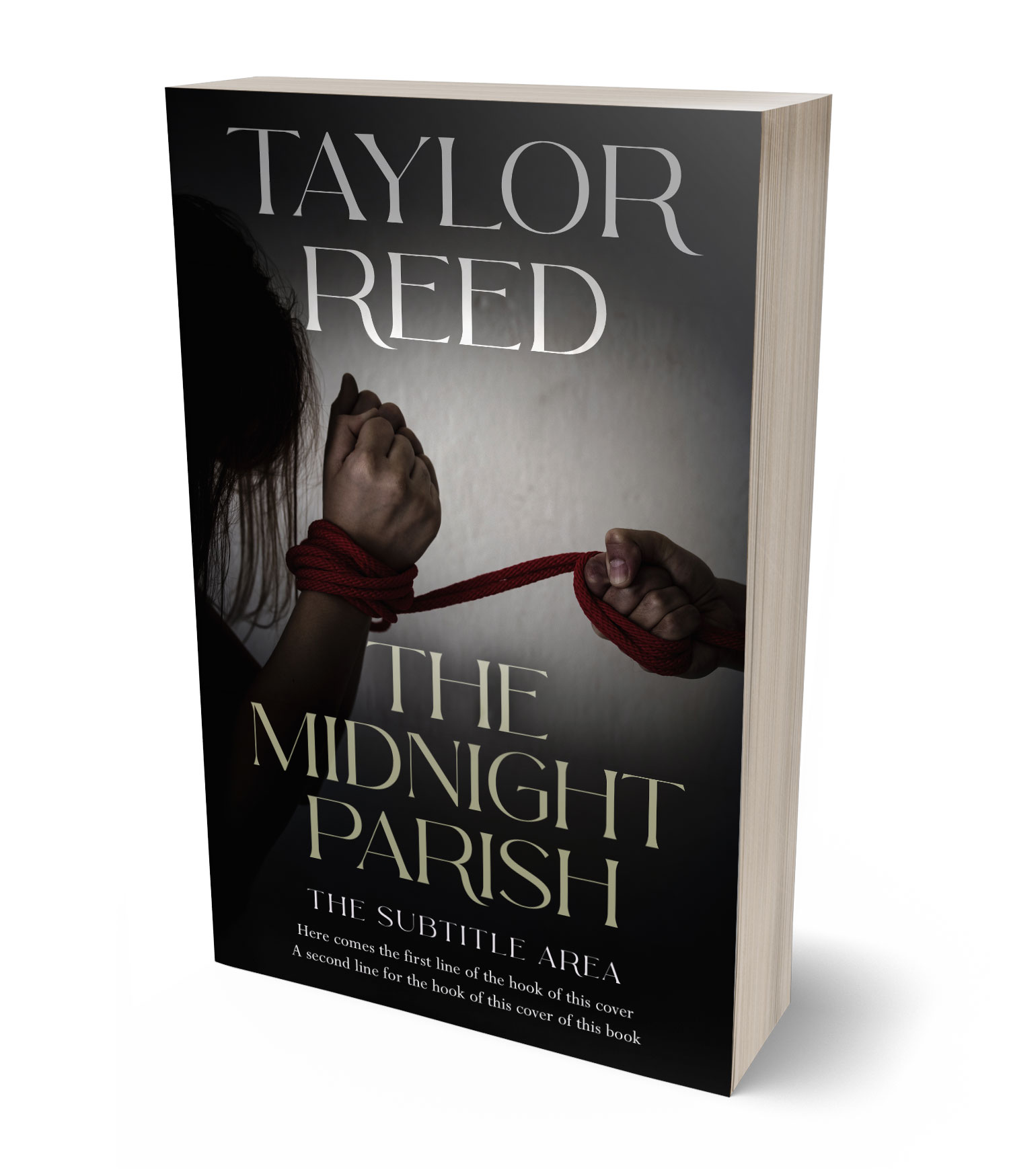 3D view of Premade Mystery & Thriller & Suspense Book Cover - Cod Gray #37099 | BookCoverZone*