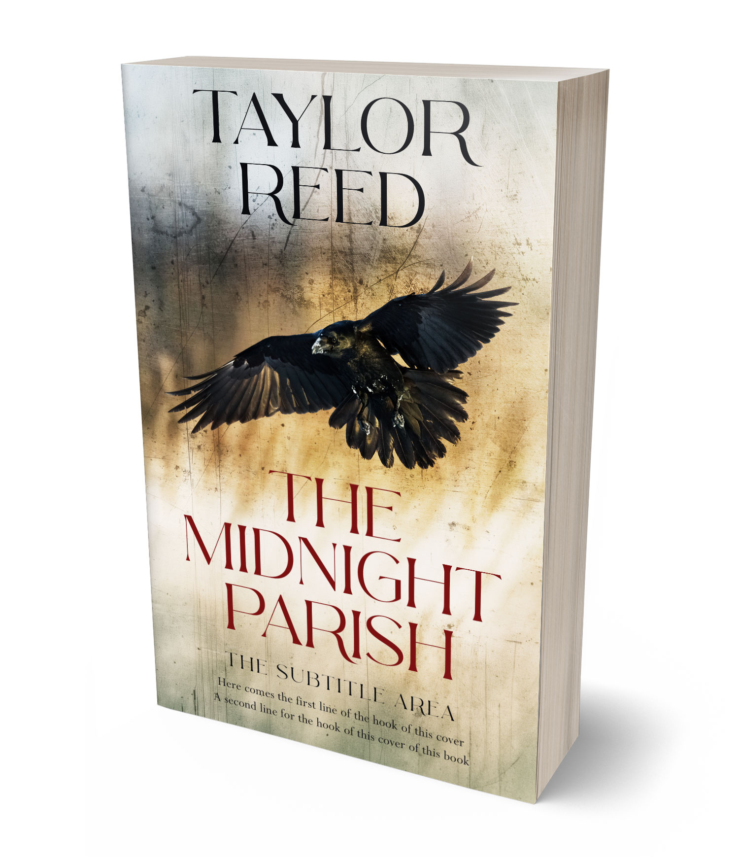 3D view of Premade Mystery & Thriller & Suspense Book Cover - Tana #37100 | BookCoverZone*