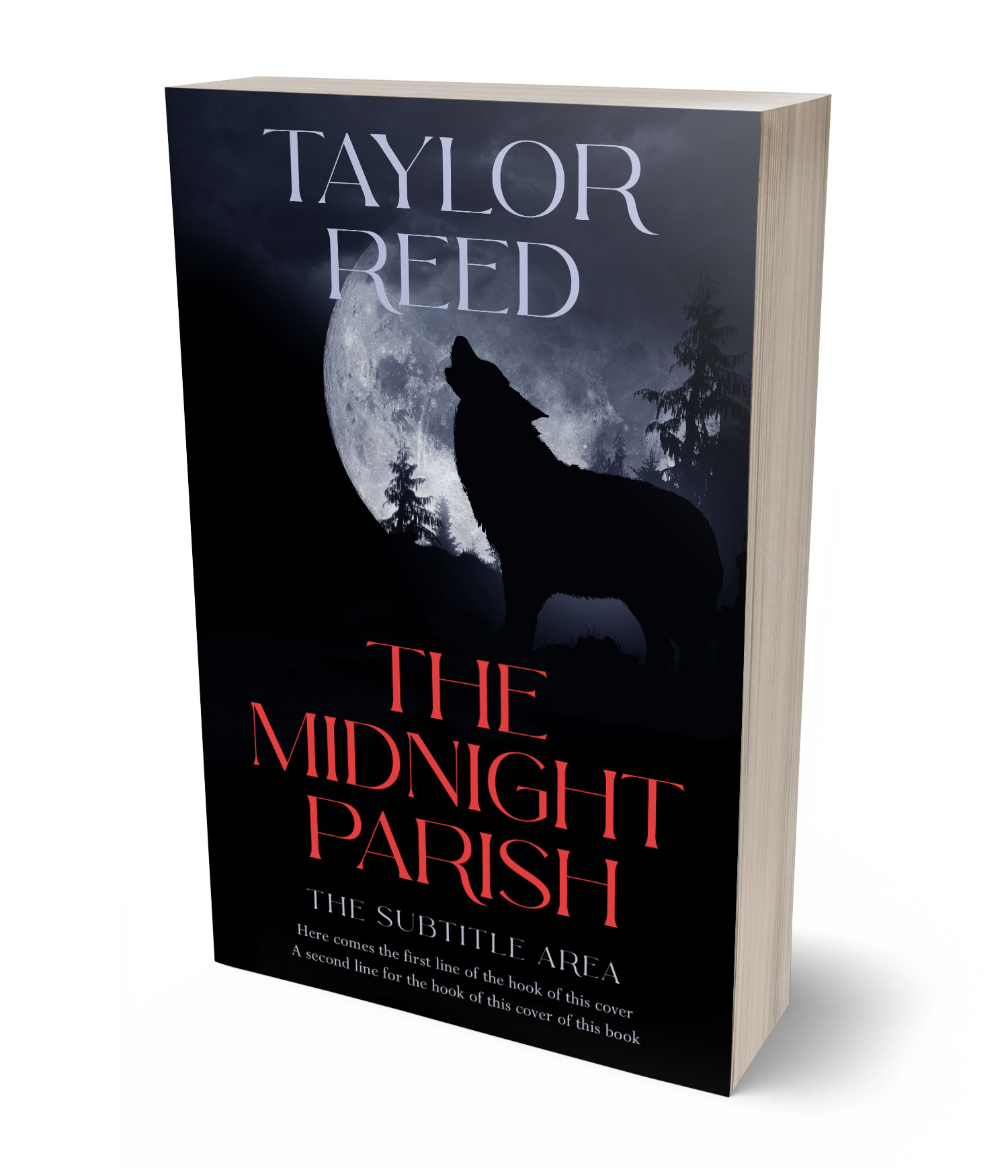 3D view of Premade Horror Book Cover - Cinder #37101 | BookCoverZone*