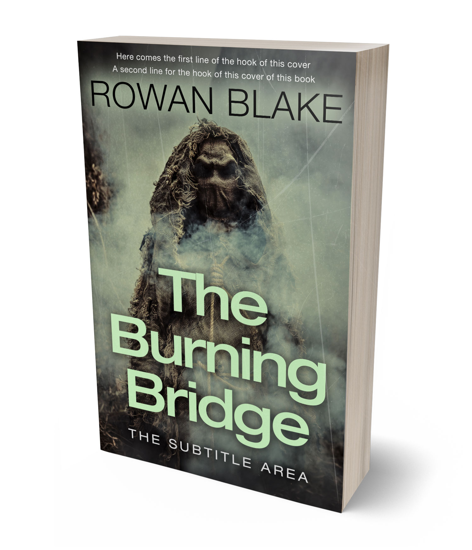 3D view of Premade Mystery & Thriller & Suspense Book Cover - Limed Ash #37193 | BookCoverZone