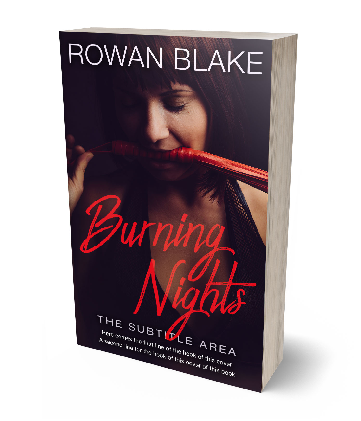 3D view of Premade Erotica Book Cover - Gondola #37202 | BookCoverZone*