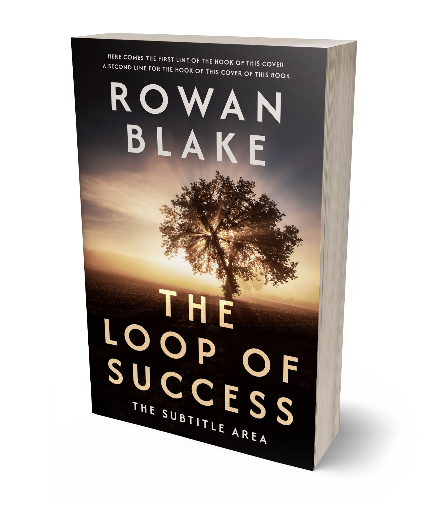 3D view of Premade  Book Cover - Cameo #37265 | BookCoverZone