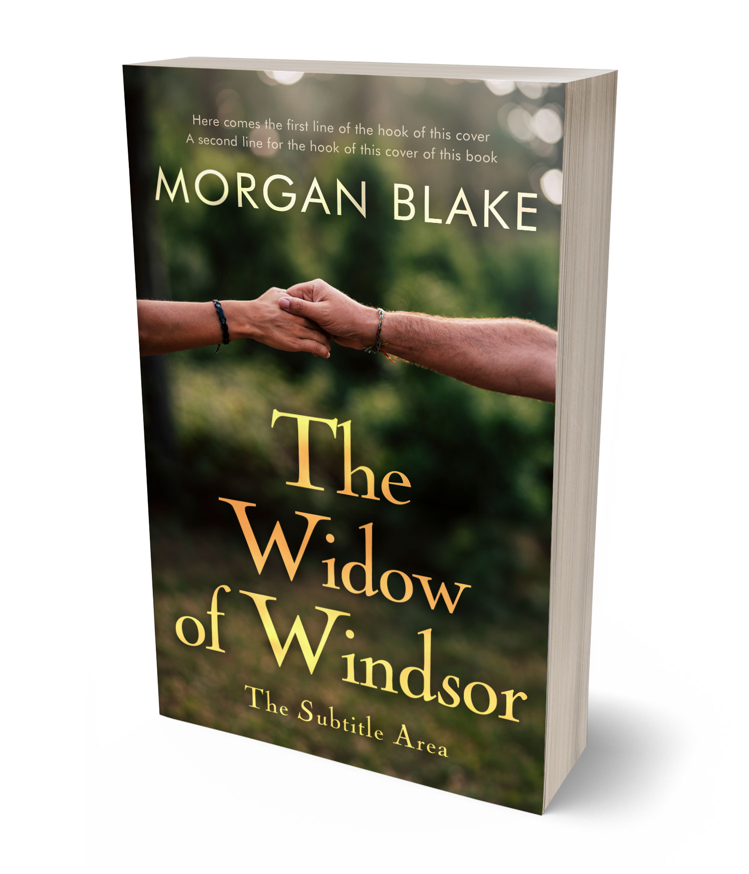 3D view of Premade Romance Book Cover - Birch #37349 | BookCoverZone