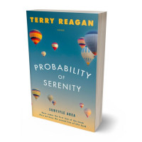 Tablet view of Ming #50020 - Premade Literary Fiction Book Cover