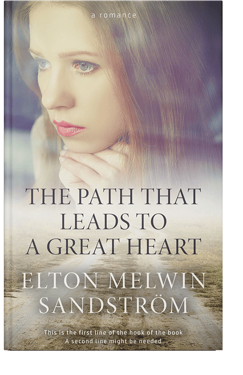 Front view of Bronco #39 - Premade Romance Book Cover