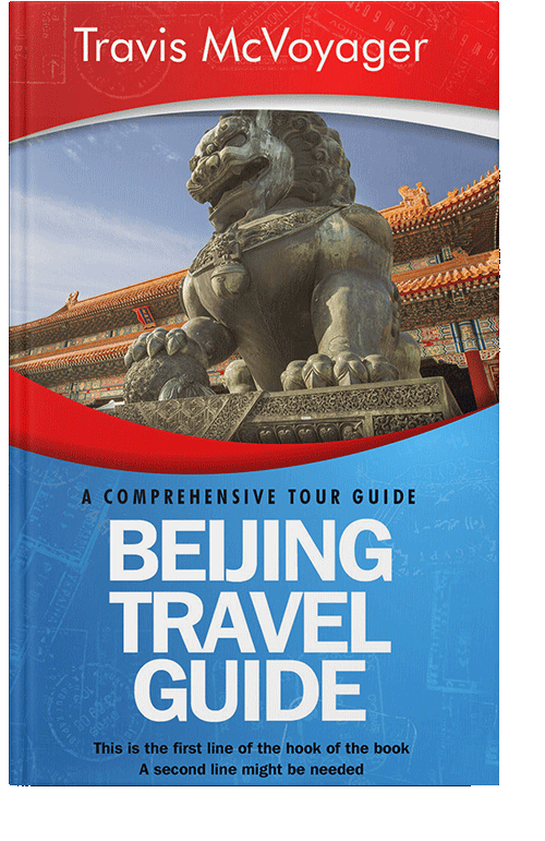 Front view of Danube #79 - Premade Travel Book Cover