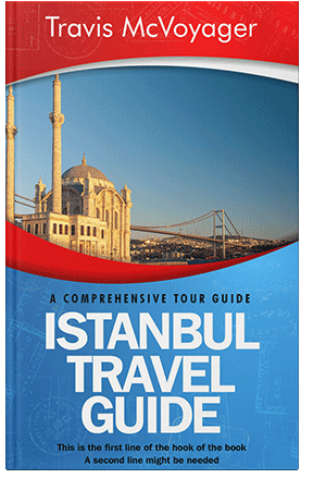 Pre Made Book Cover Boston Blue