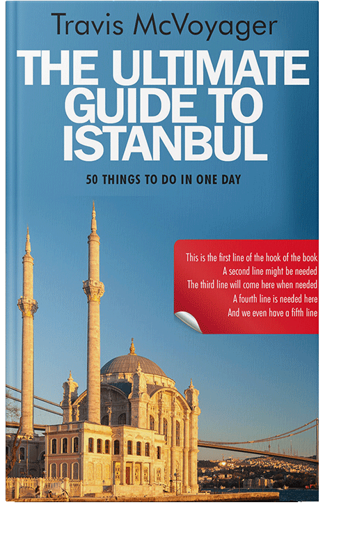 Front view of Steel Blue #93 - Premade Travel Book Cover