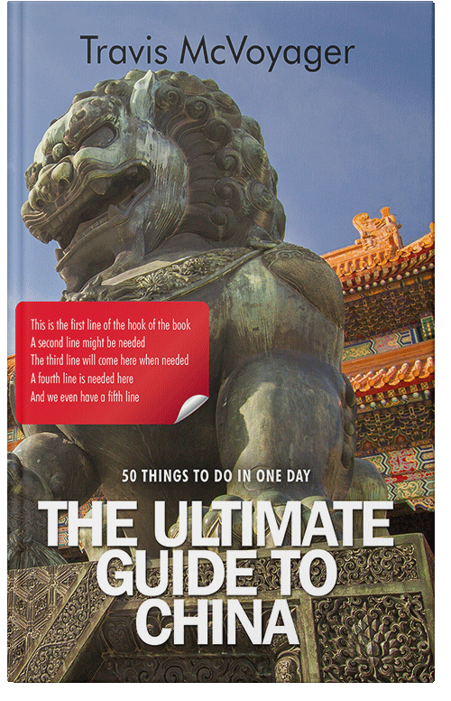 Front view of Armadillo #096 - Premade Travel Book Cover